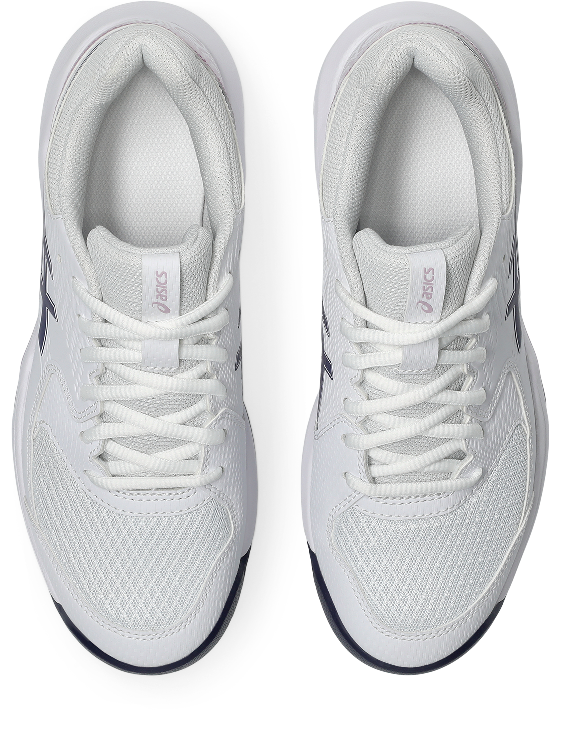 Asics Tennisschuh »GEL-DEDICATE 8 CLAY«, Sandplatzschuhe für Ascheplätze