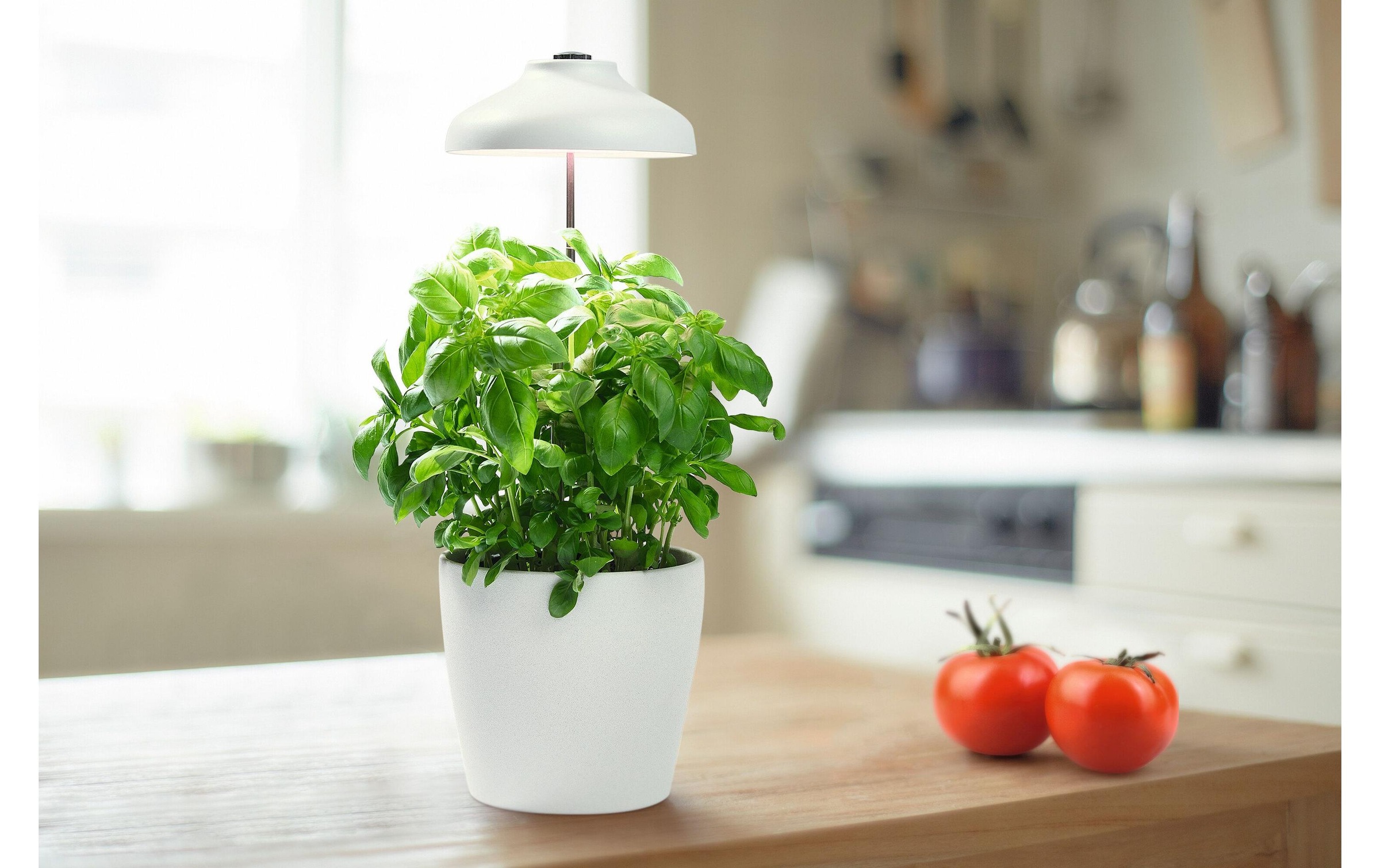 Pflanzenlampe »Pflanzenleuchte Indoor Gar«