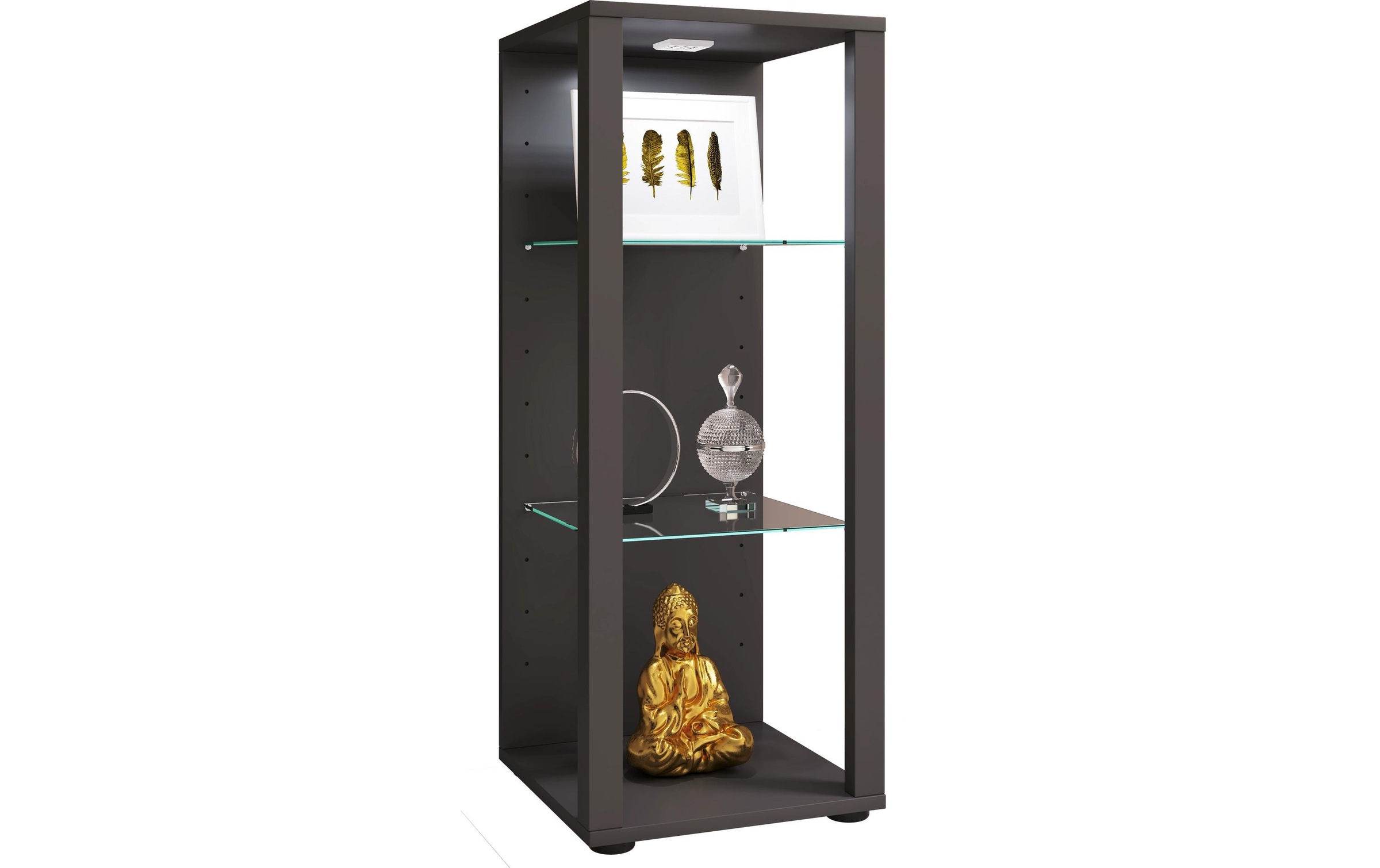 VCM Vitrine