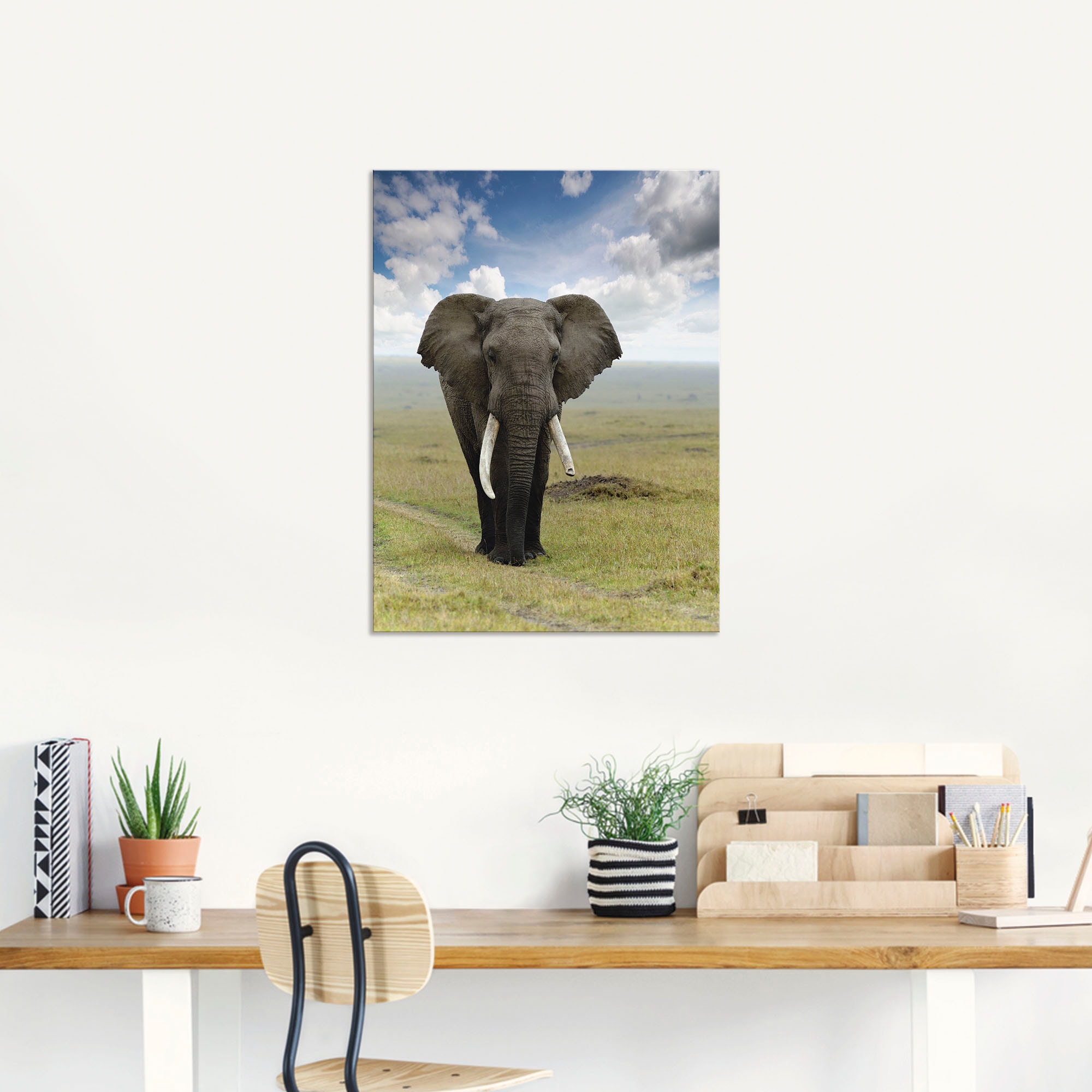 Leinwandbild, (1 Grössen oder St.), Wandaufkleber Alubild, als in online Artland bestellen Poster Jelmoli-Versand | Wildtiere, Wandbild »Elefant«, versch.