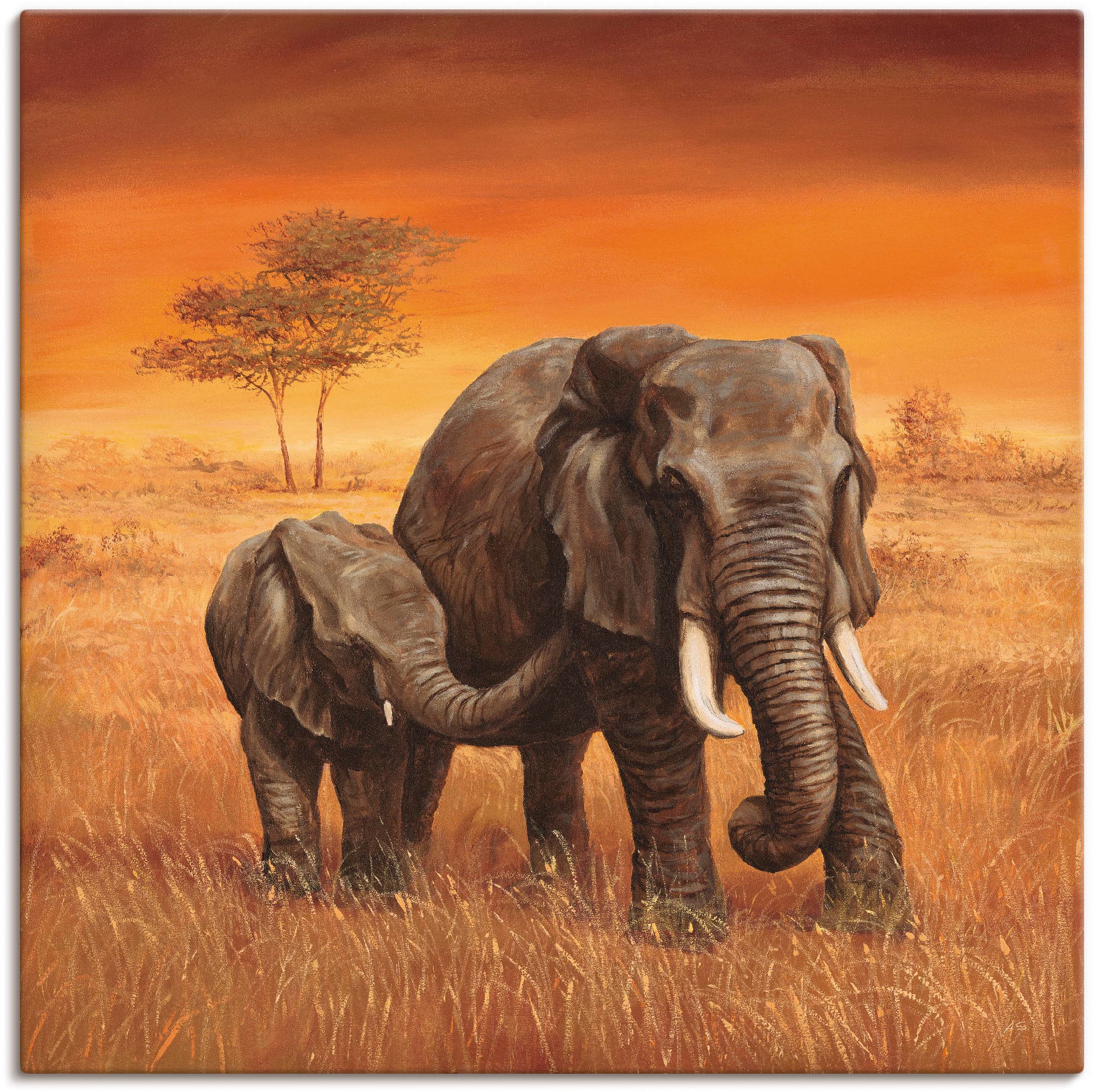 Artland Wandbild »Elefanten II«, Wildtiere, St.) Jelmoli-Versand (1 online | kaufen