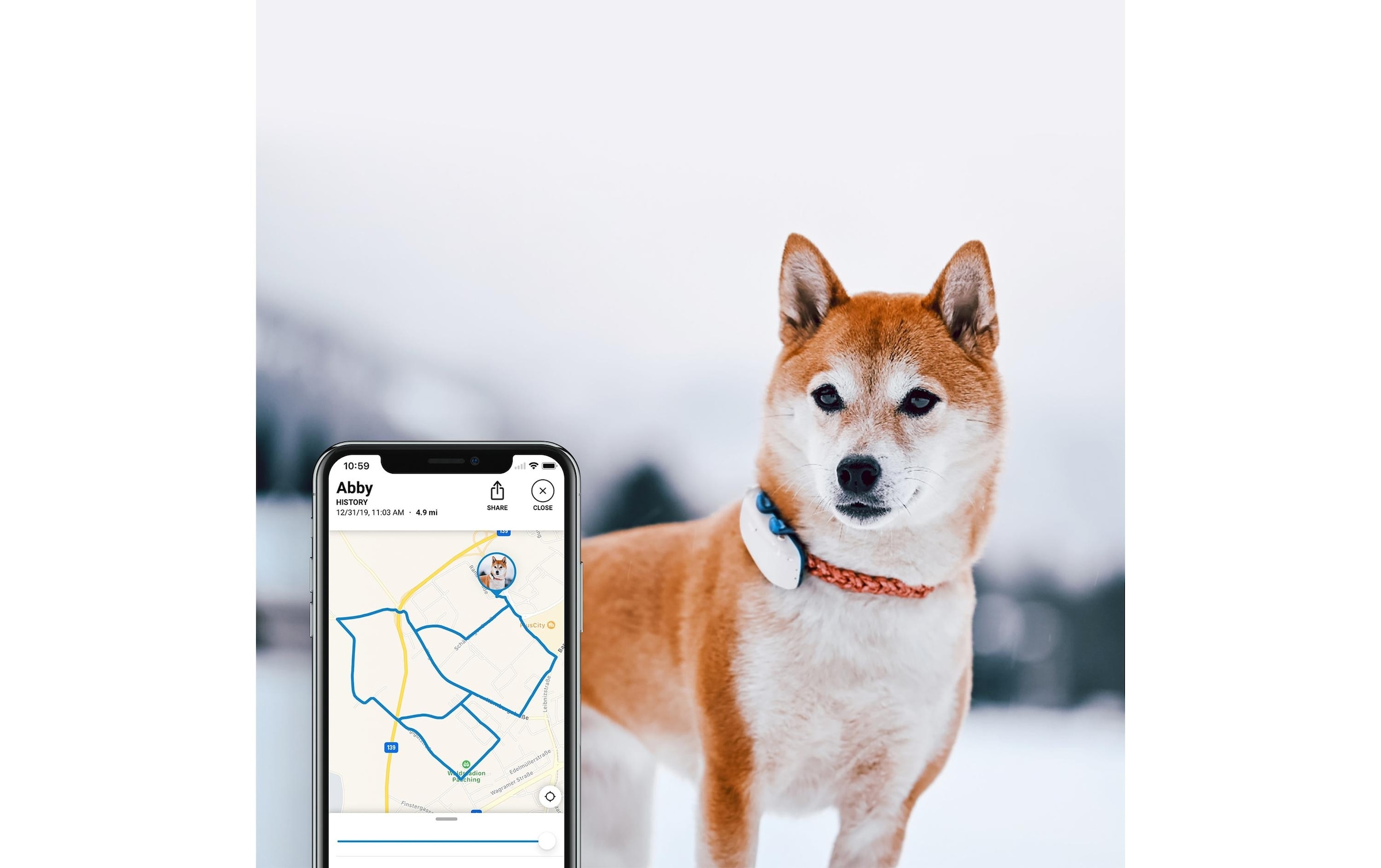 Tractive GPS-Tracker »Hunde GPS DOG LTE«