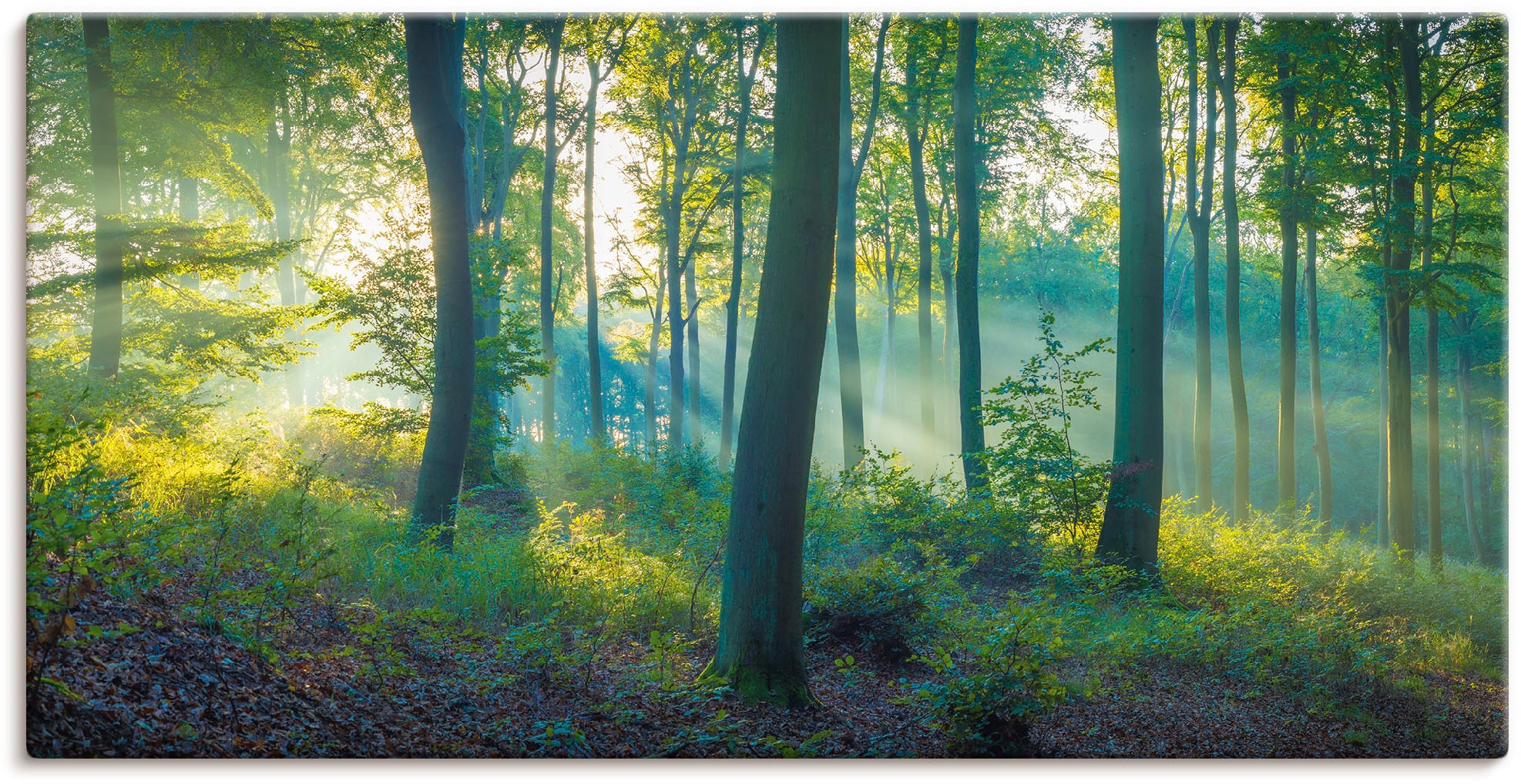 Grössen Wandbild Poster online in St.), »Wald | (1 Wandaufkleber Artland Leinwandbild, kaufen als Alubild, oder Waldbilder, versch. Jelmoli-Versand Panorama«,