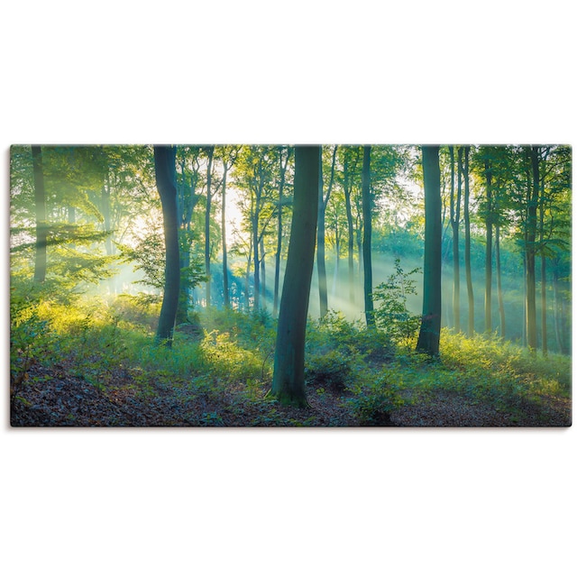 Artland Wandbild »Wald Panorama«, Waldbilder, (1 St.), als Alubild,  Leinwandbild, Wandaufkleber oder Poster in versch. Grössen online kaufen |  Jelmoli-Versand