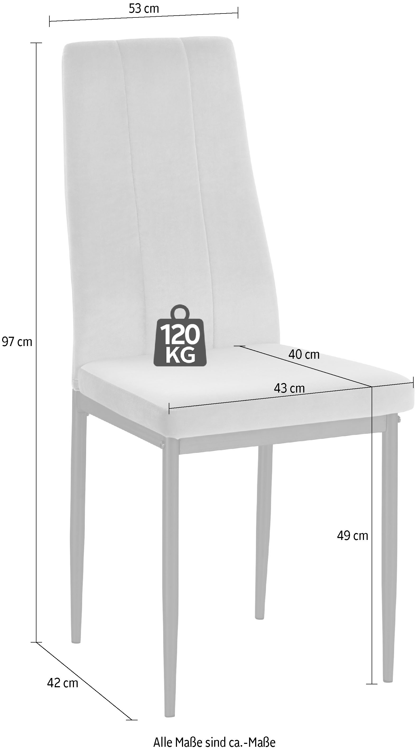 INOSIGN Esszimmerstuhl »Remus«, (Set), 4 St., Samtvelours, im 1er,2er und 4er Set erhältlich, unterschiedliche Bezugsqualitäten