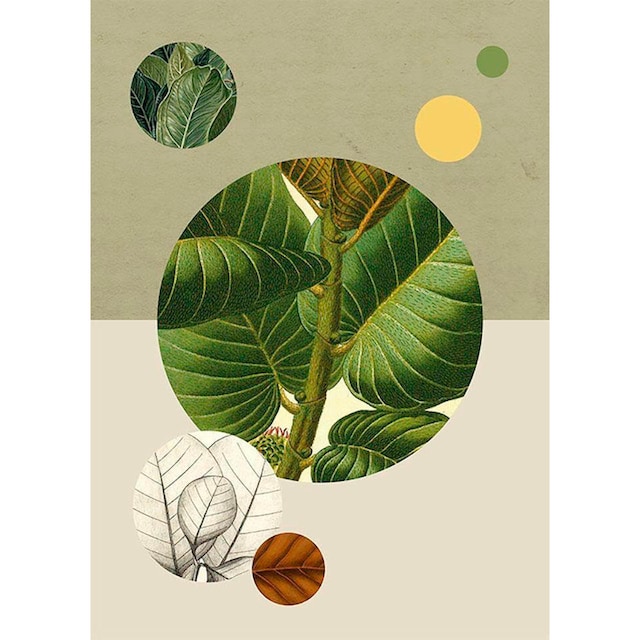 ❤ Komar Poster »Green Structure«, Pflanzen-Blätter, (Packung, 1 St.),  Kinderzimmer, Schlafzimmer, Wohnzimmer ordern im Jelmoli-Online Shop