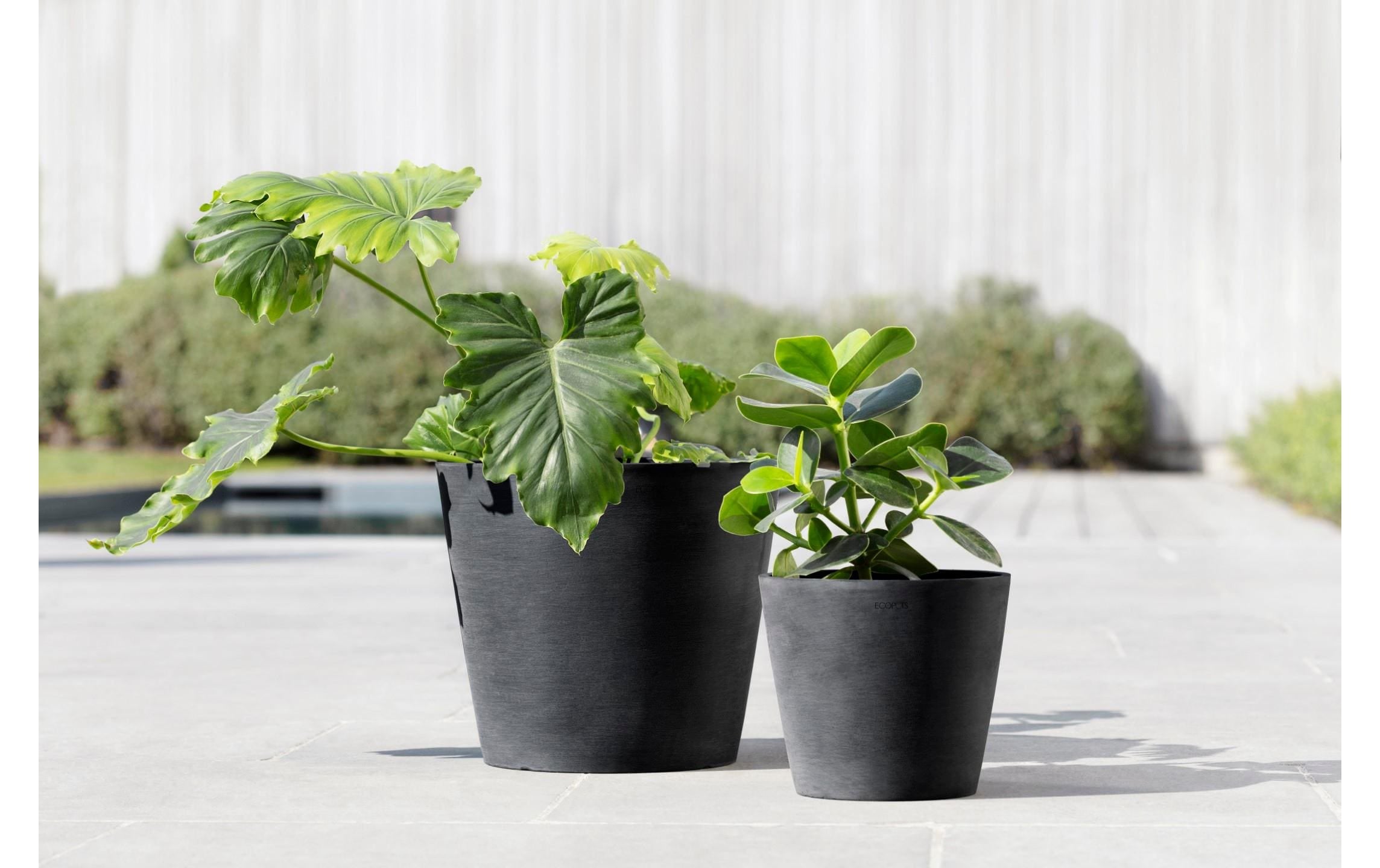 ECOPOTS Pflanzkübel »Amsterdam 30«, (1 St.)