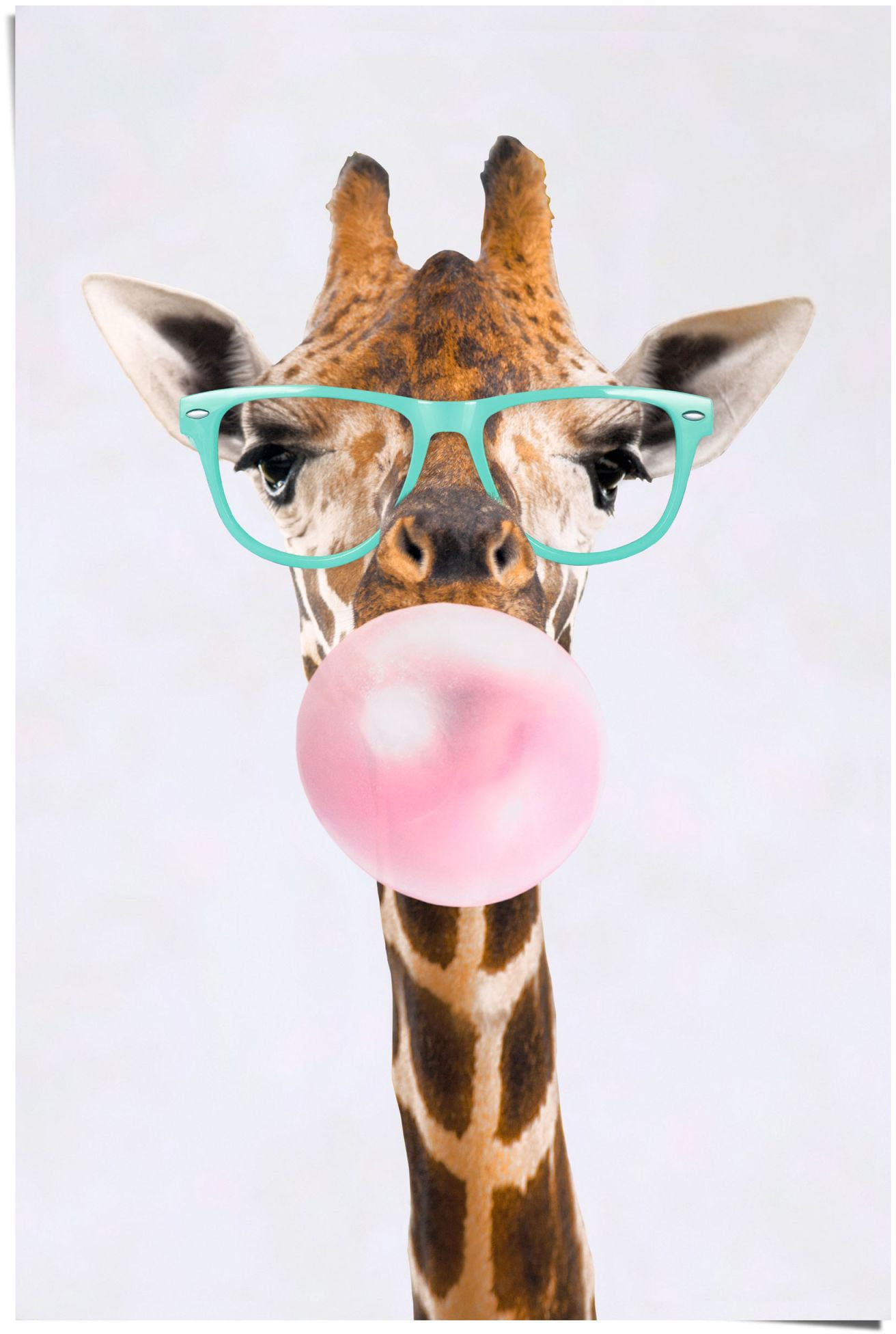 Reinders! Poster »Poster Funky Giraffe«, Giraffen, (1 St.)
