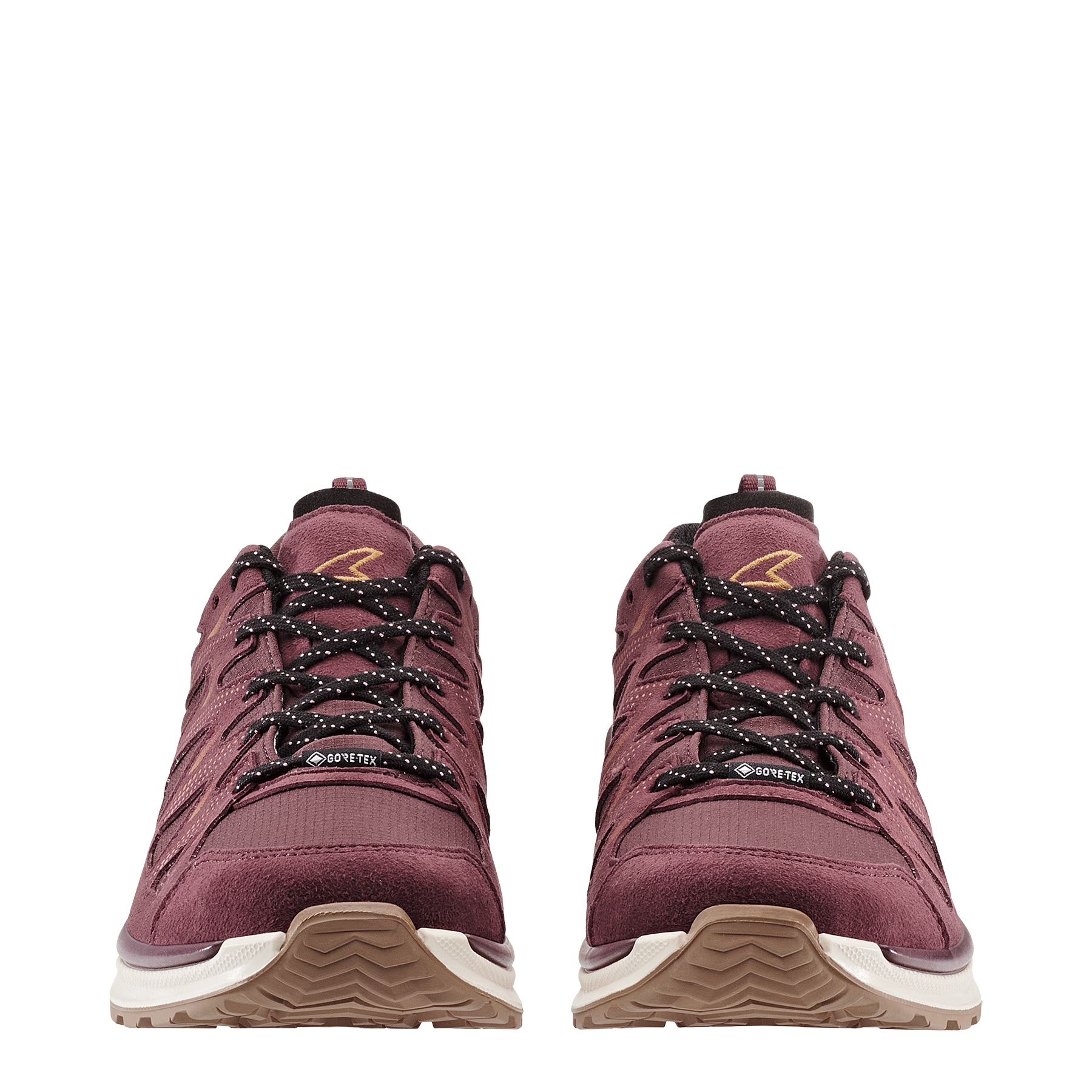 Lowa Wanderschuh »INNOX EVO II GTX WS«, wasserdicht