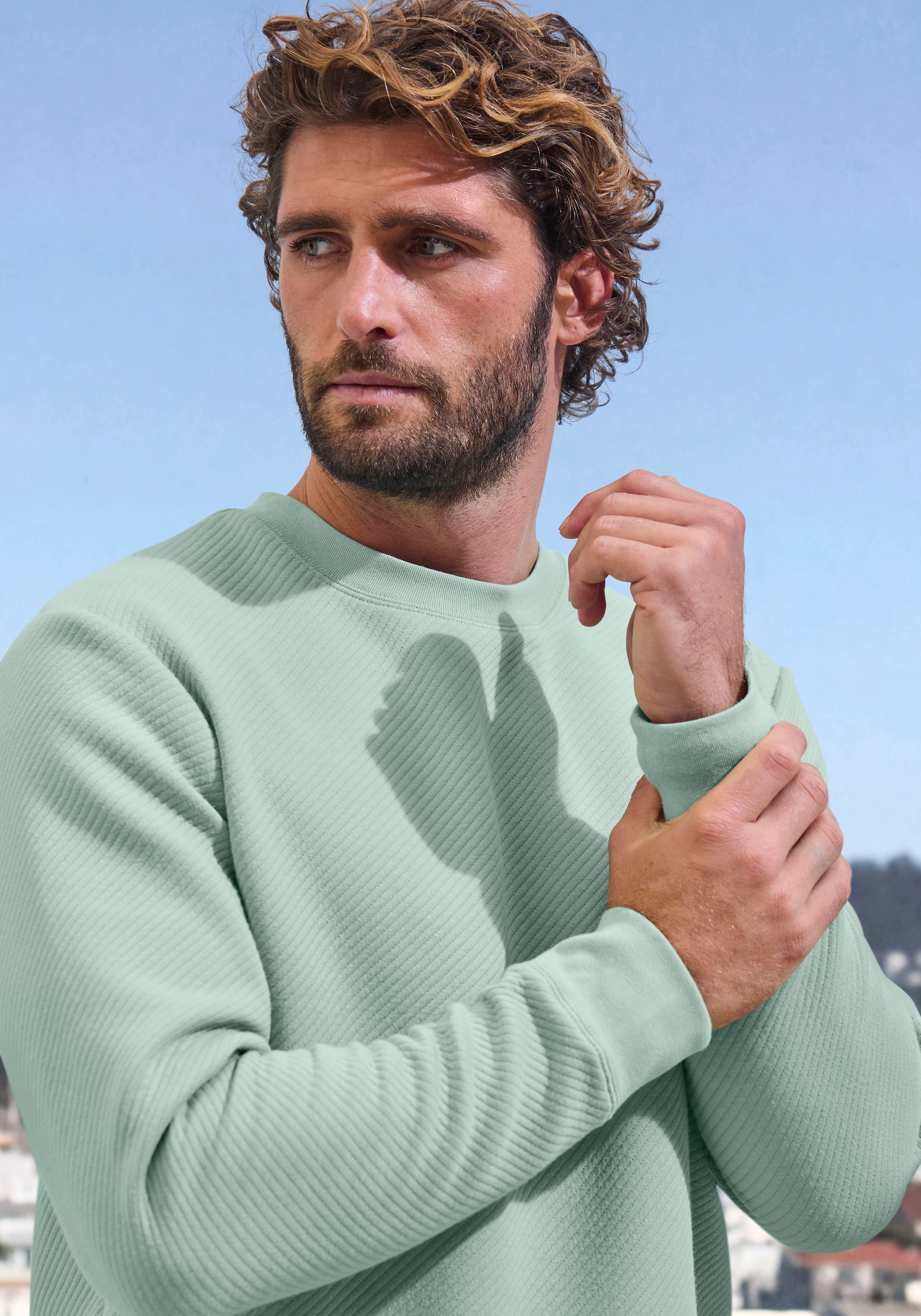 John Devin Sweatshirt, Langarm, Pullover mit Struktur, Rundhals, Baumwollmischung