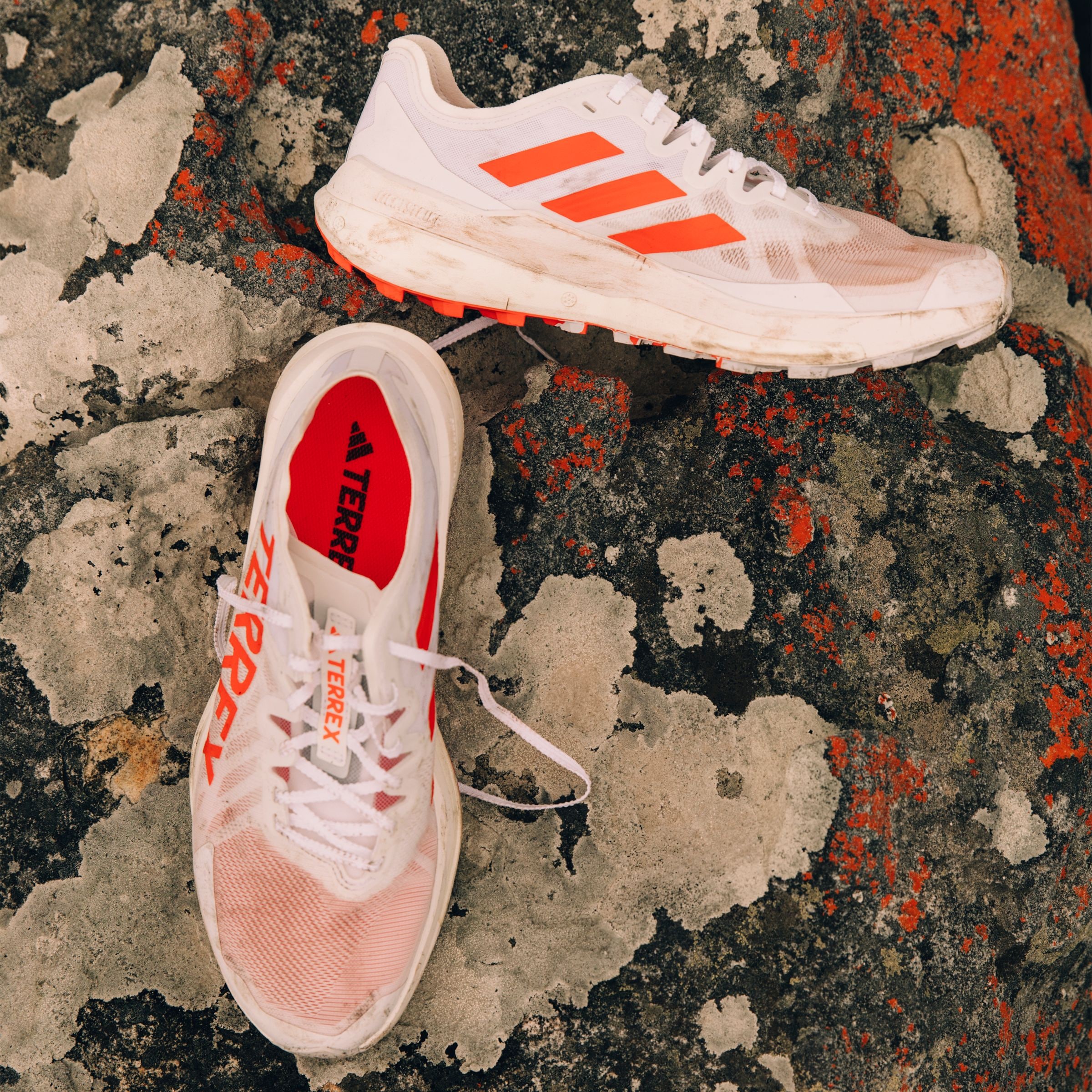 adidas TERREX Trailrunningschuh »TERREX AGRAVIC SPEED TRAILRUNNING«