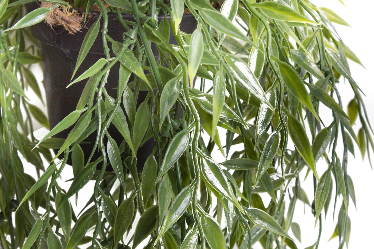 Zimmerpflanze Botanic-Haus online Künstliche shoppen | Jelmoli-Versand »Bambus-Hängeampel«