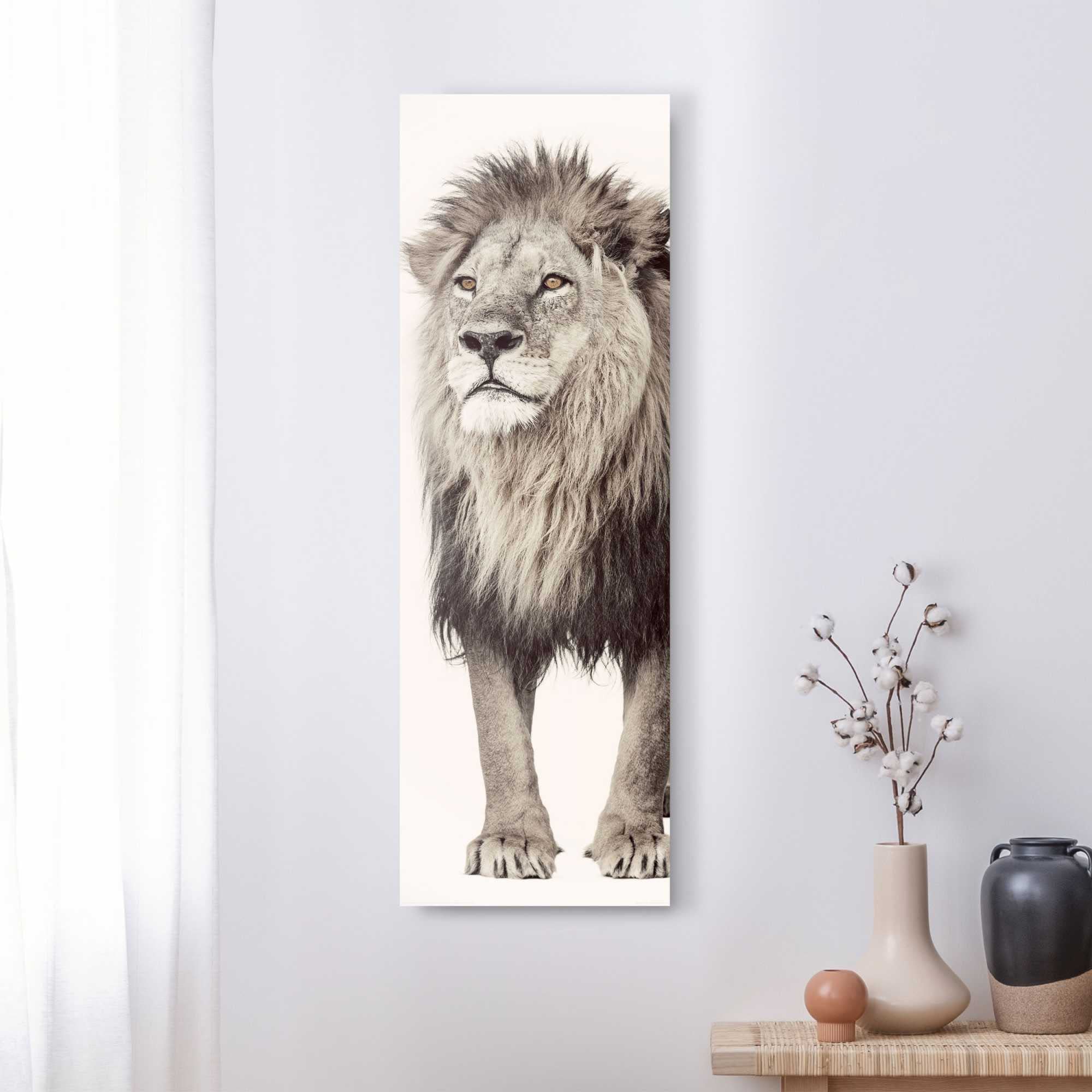 ❤ Reinders! Wandbild »Wandbild Löwe Dschungels St.) - Raubtier - Löwen, Kräftig«, (1 des im Jelmoli-Online kaufen Shop König