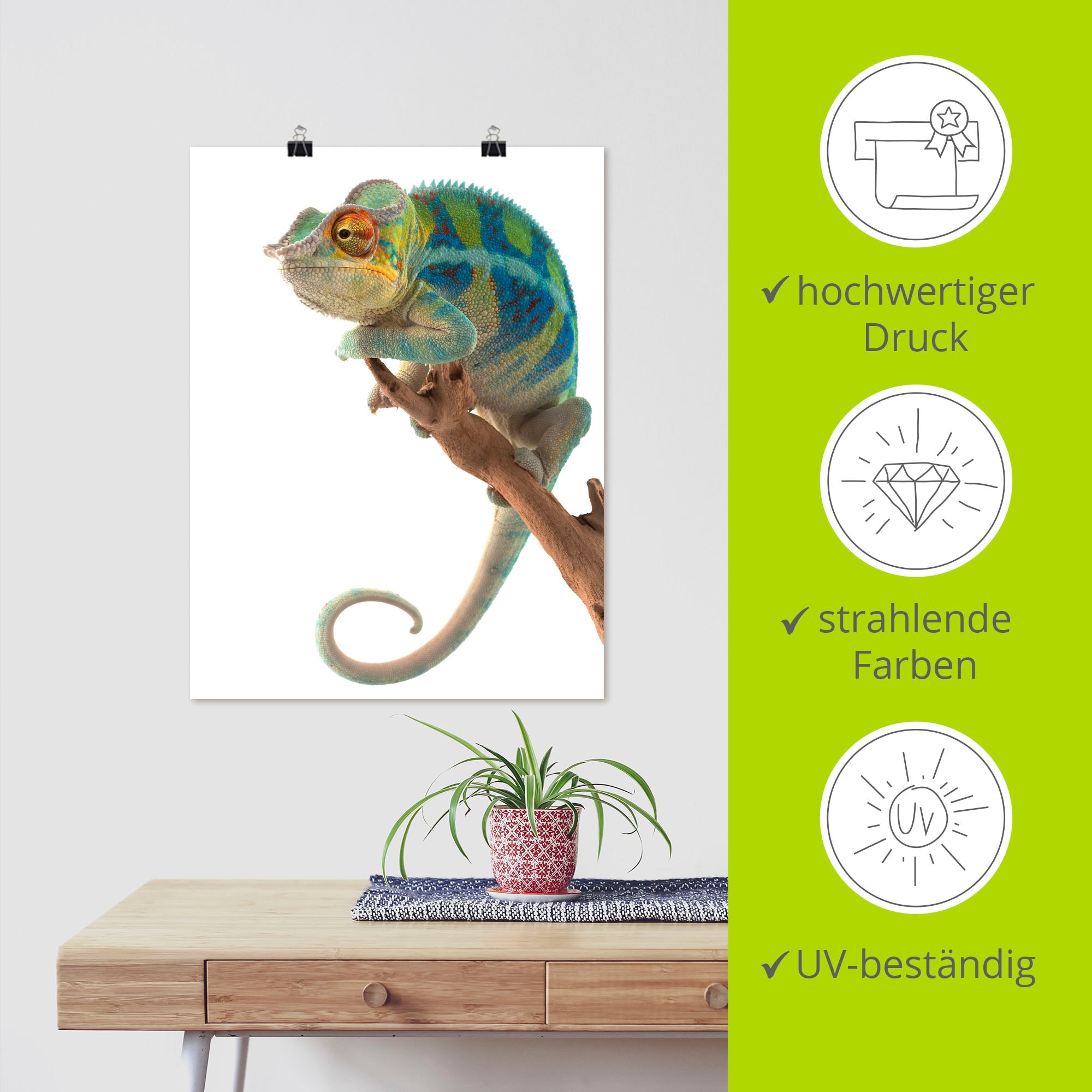 Artland Wandbild »Ambanja Panther Chamäleon«, Reptilien, (1 St.), als Leinwandbild, Poster in verschied. Grössen