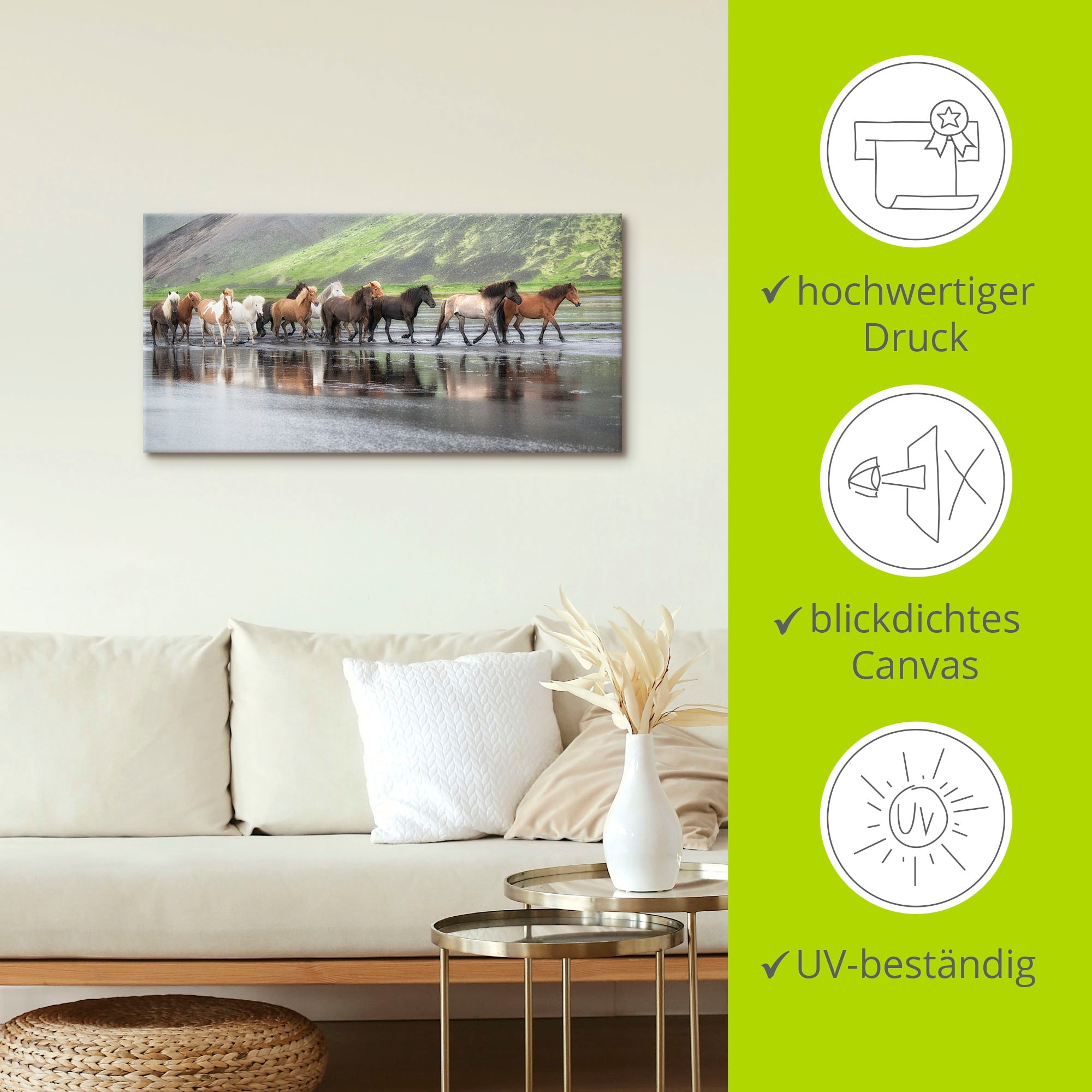 Artland Wandbild »Isländische Pferde XIV«, Haustiere, (1 St.), als Leinwandbild, Wandaufkleber in verschied. Grössen