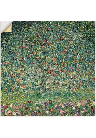 Artland Wandbild »Apfelbaum I. 1912«, Bäume, (1 St.), in vielen Grössen & Produktarten... kaufen