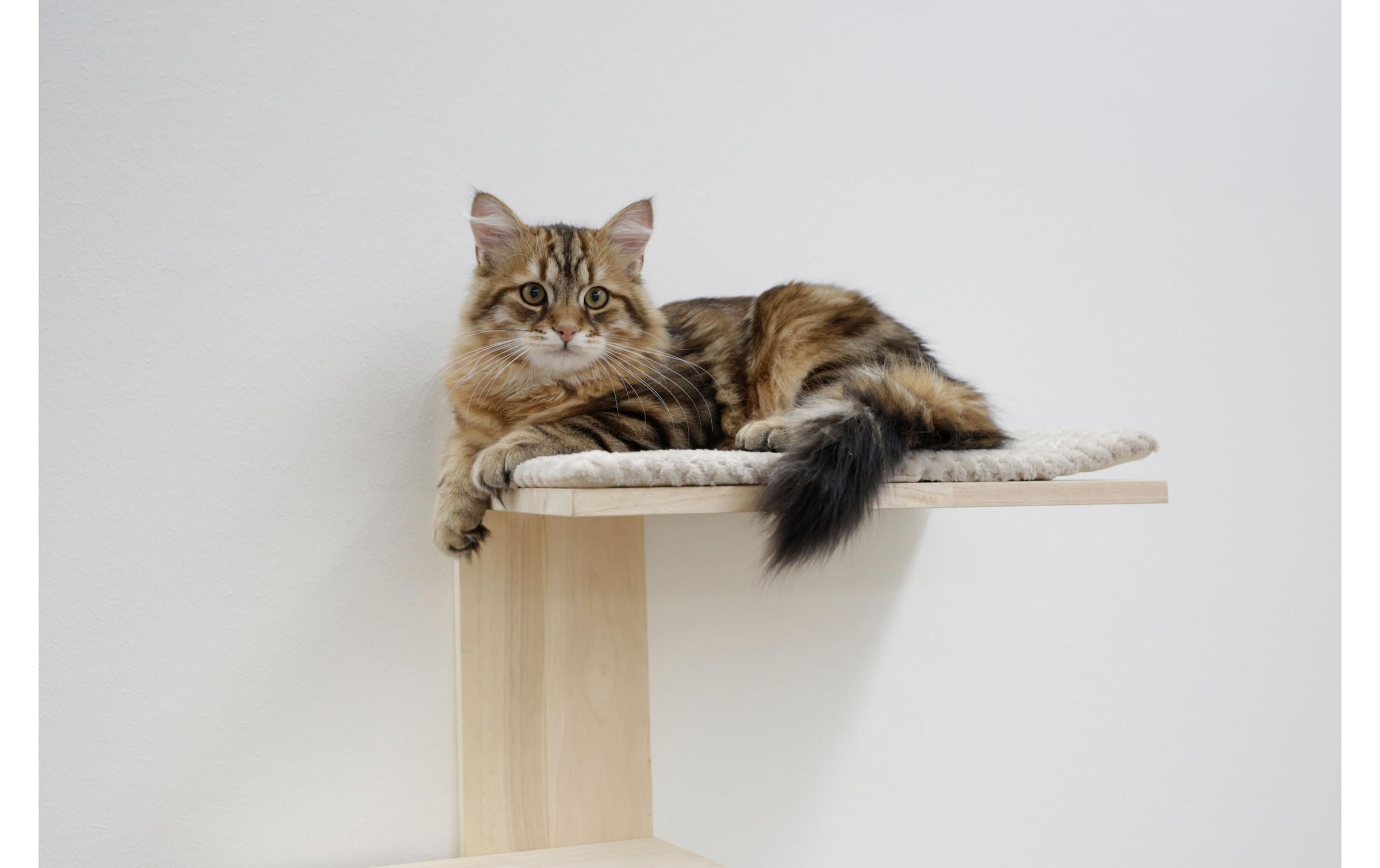 Kerbl Kratzbaum »Timber«, hoch