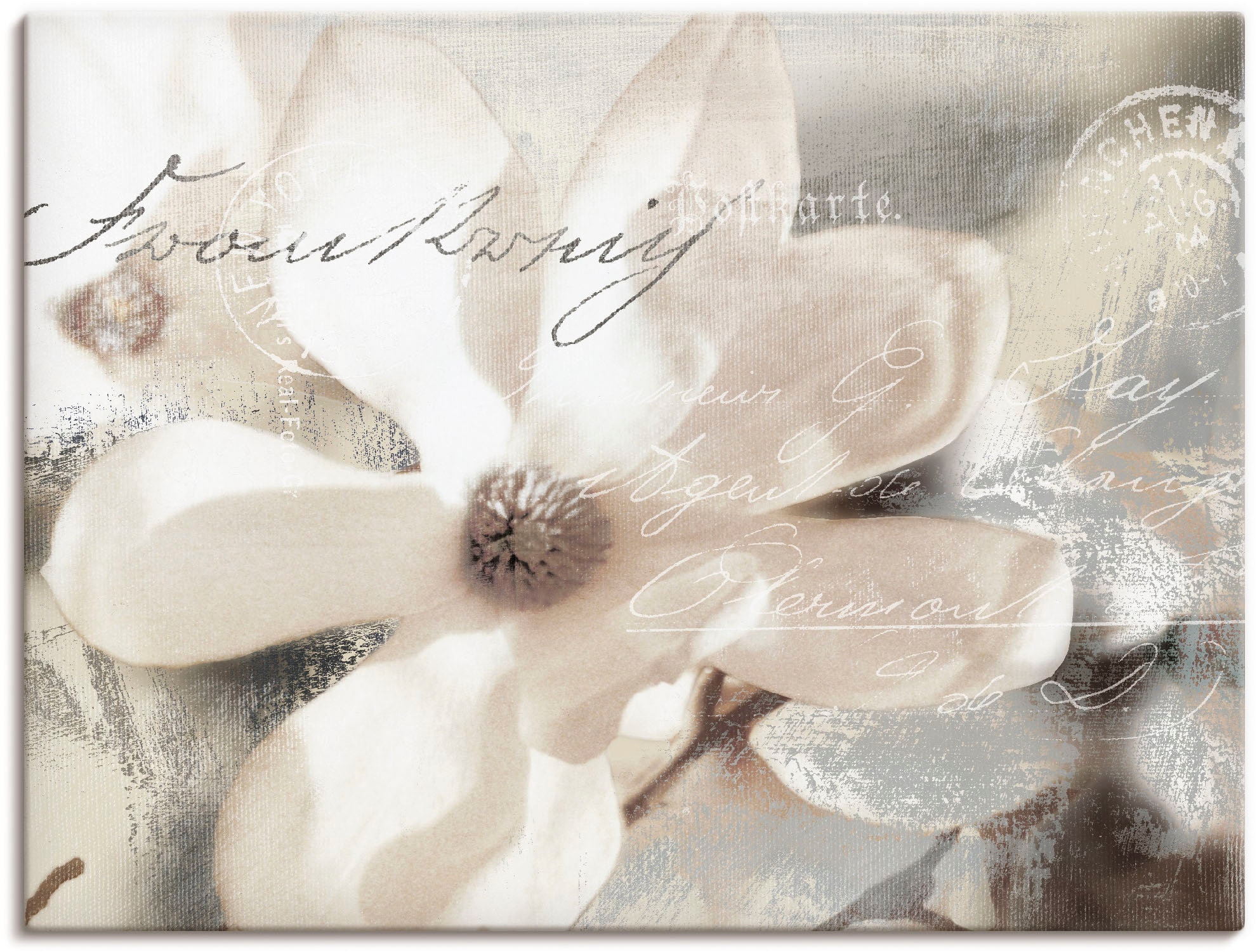 Artland Wandbild »Magnolie_Detail«, Blumenbilder, (1 St.), als Alubild,  Leinwandbild, Wandaufkleber oder Poster in versch. Grössen online kaufen |  Jelmoli-Versand | Poster