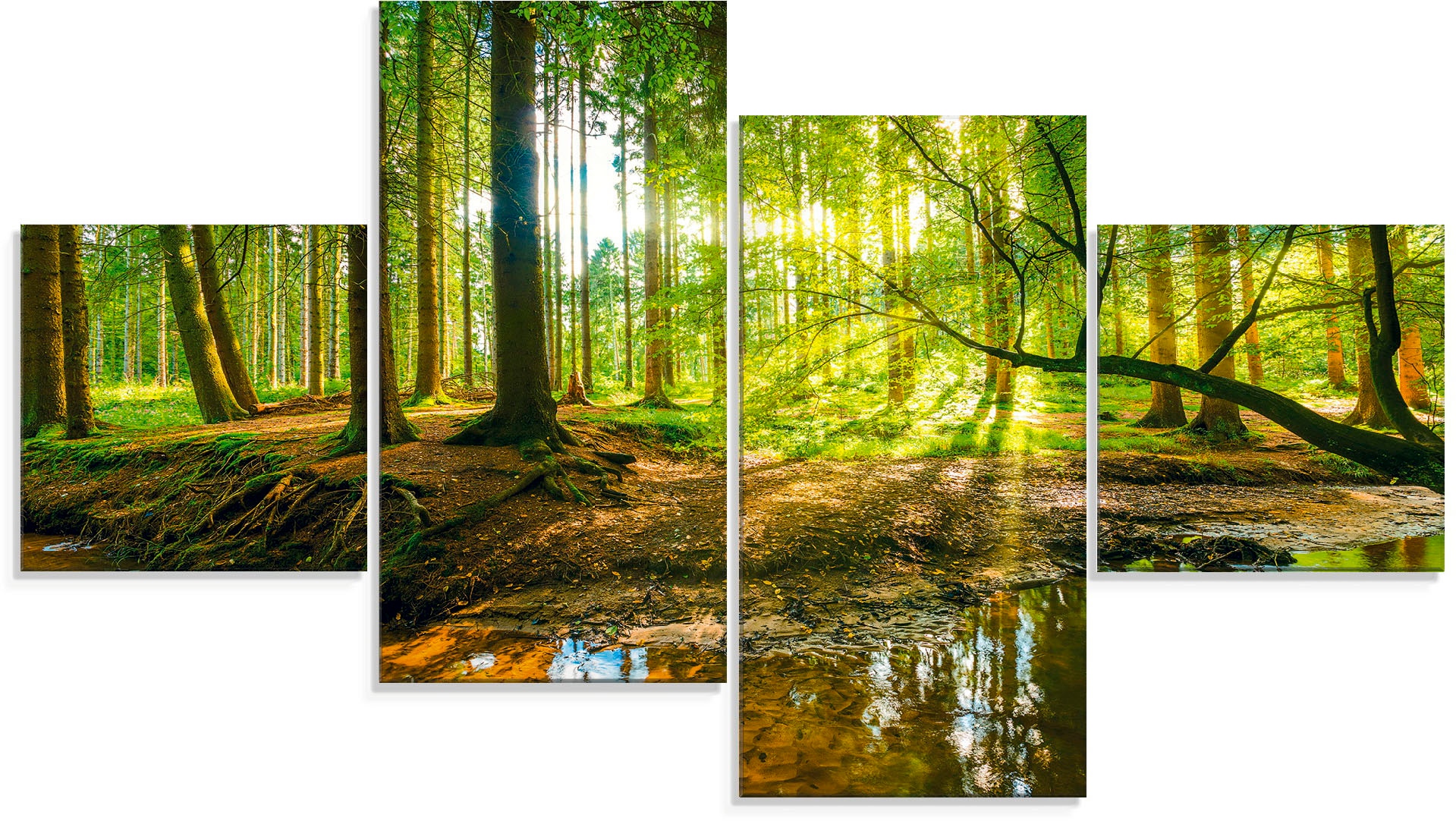 Artland Glasbild »Wald mit Bach«, Wald, (4 St.), in verschiedenen Grössen