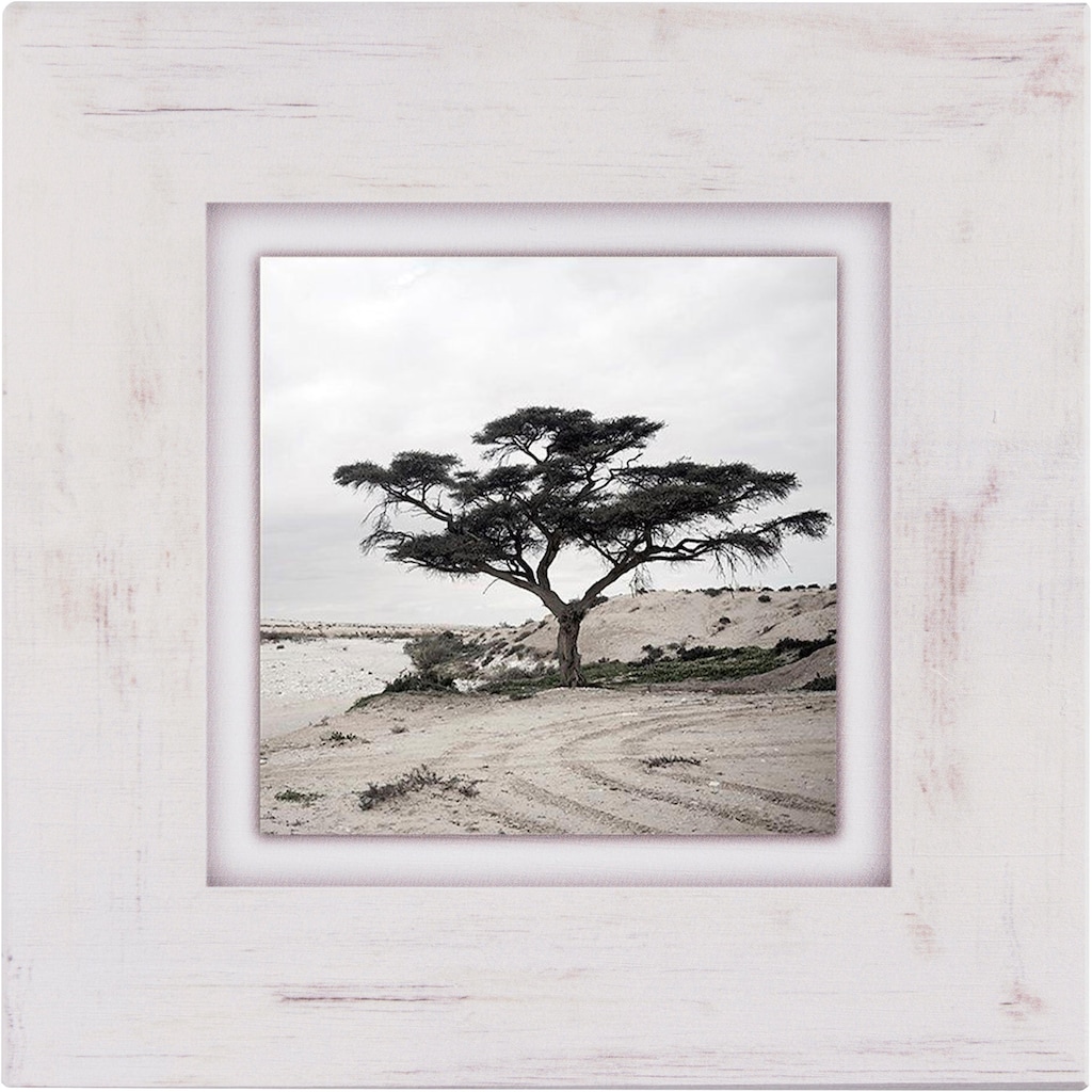 Home affaire Holzbild »Baum«, 40/40 cm