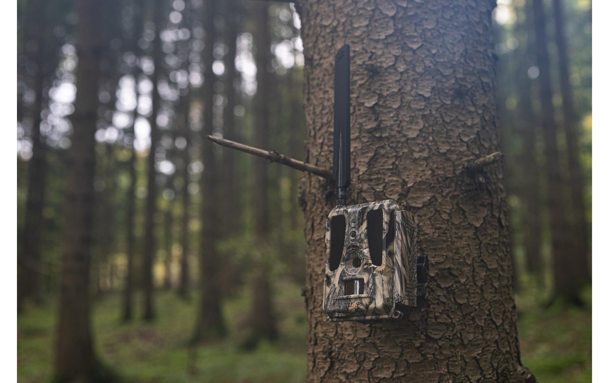 Wildkamera »Dörr Wildkamera SnapShot Cloud Pro 4G WA«, Aussenbereich