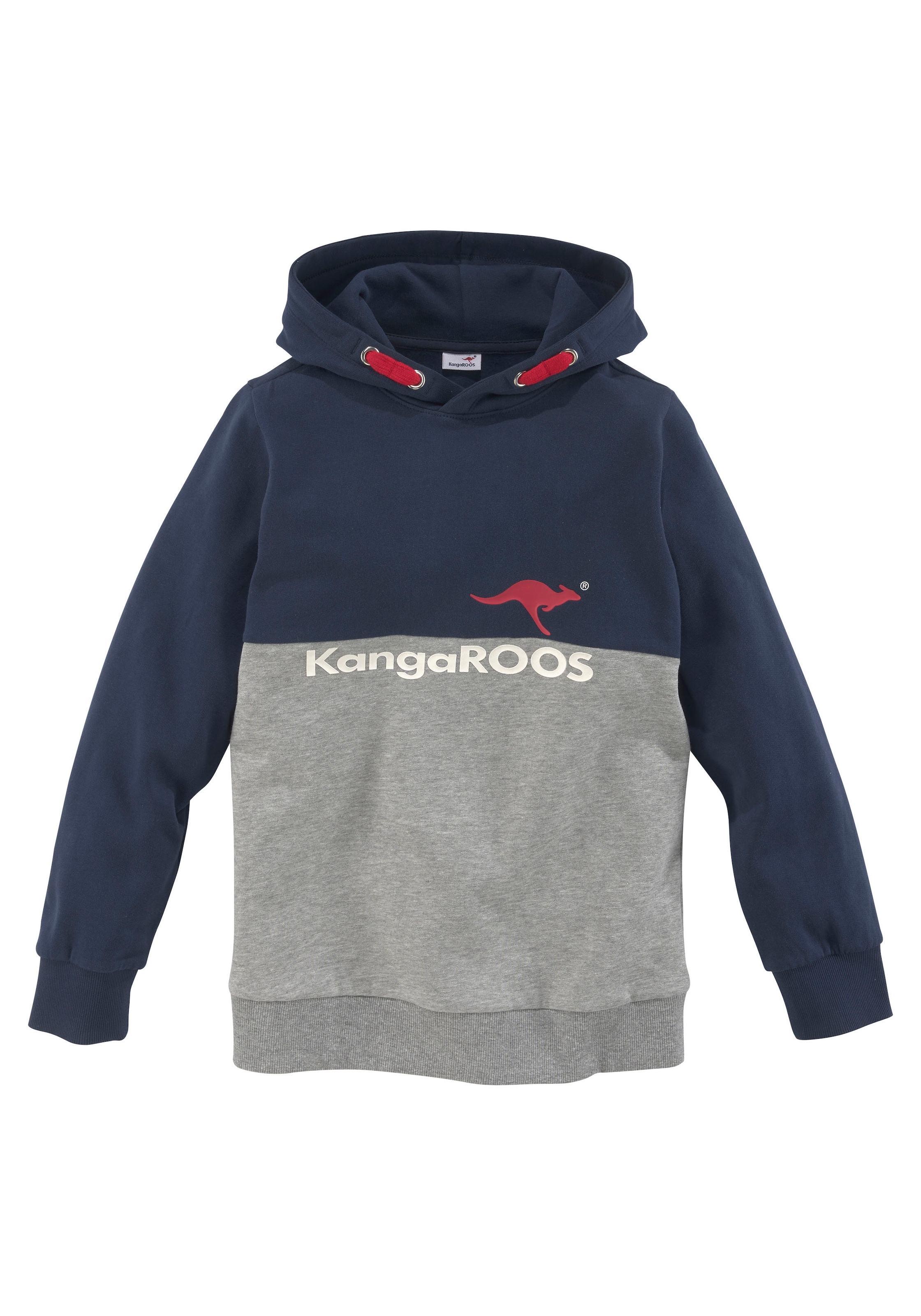 Kapuzensweatshirt »Colorblocking«, Langarm, mehrfarbig, mit Logodruck, aus Baumwolle