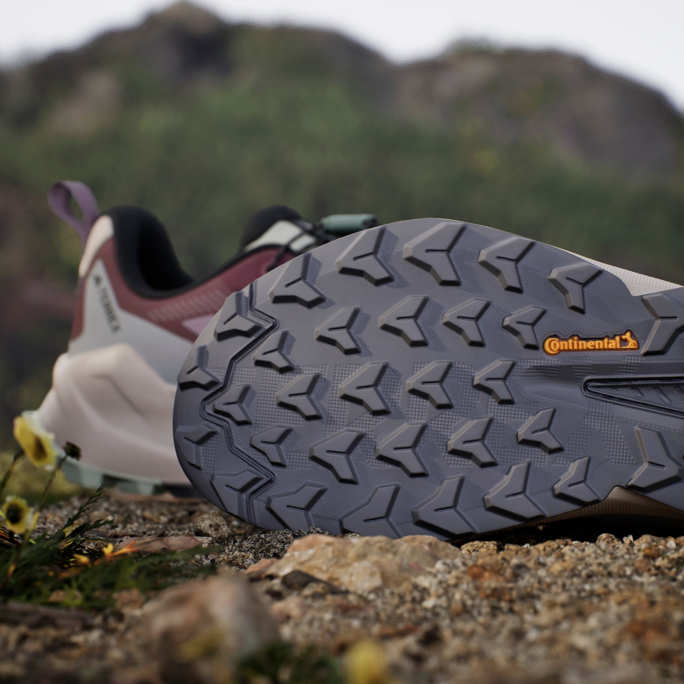 adidas TERREX Wanderschuh »TERREX TRAILMAKER 2 GORE-TEX SPEED LACE«, wasserdicht