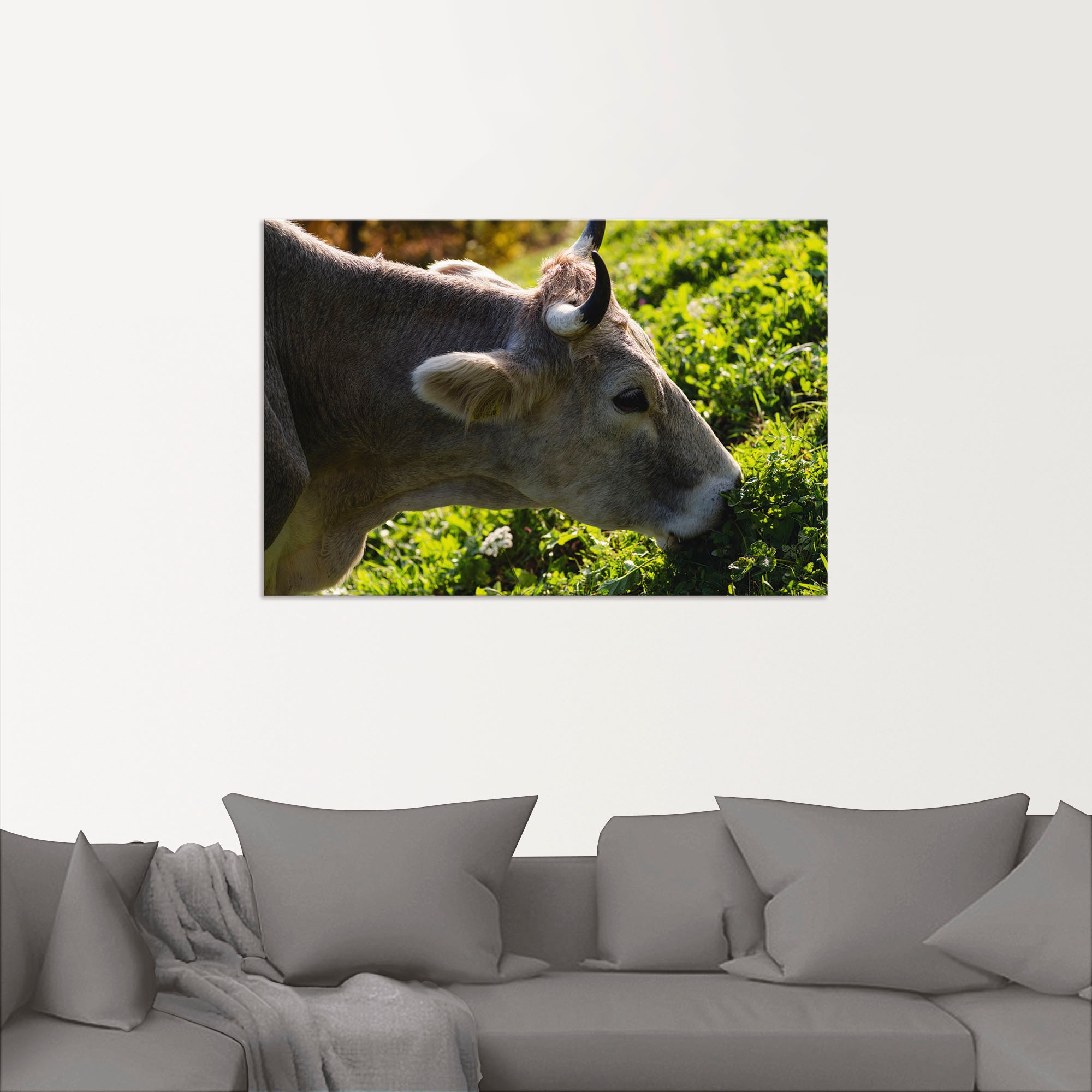 Artland Wandbild »Eine glückliche Südtiroler Kuh«, Kuhbilder, (1 St.), als  Alubild, Leinwandbild, Wandaufkleber oder Poster in versch. Grössen online  bestellen | Jelmoli-Versand