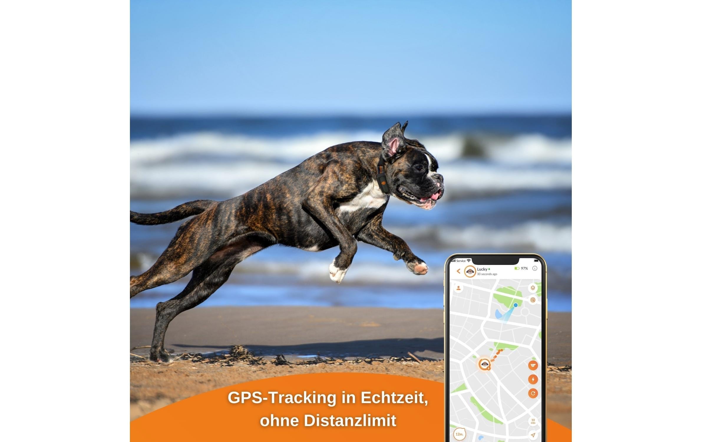 GPS-Tracker »Weenect XS für Hunde Schwarz«