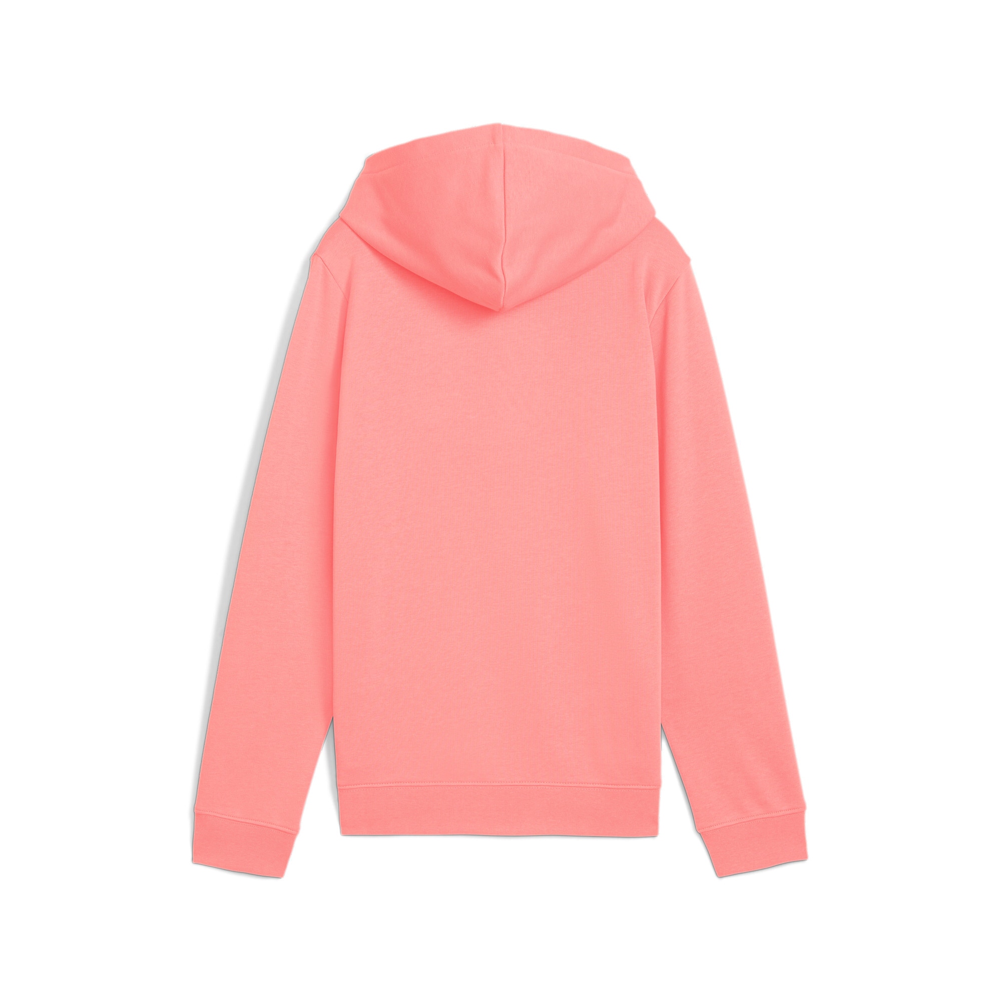 PUMA Kapuzensweatshirt »ESS SCRIPT HOODIE TR G«