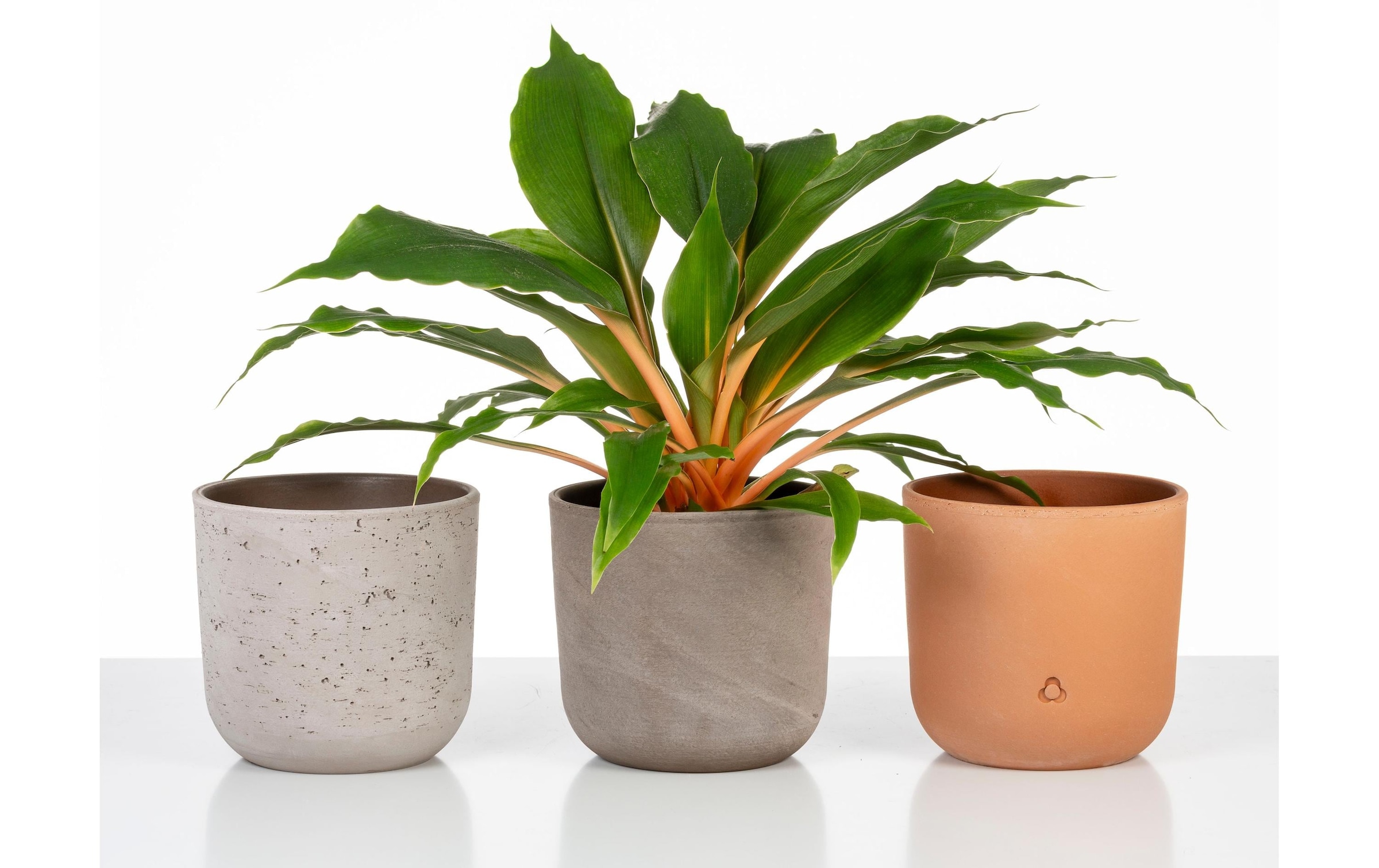 Scheurich Blumentopf »Basalto 20.2 cm«