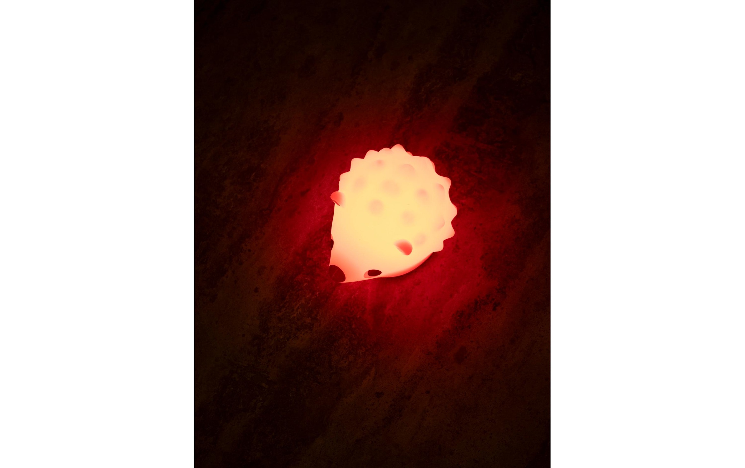 LED Nachtlicht »Filibabba Henning der Igel«