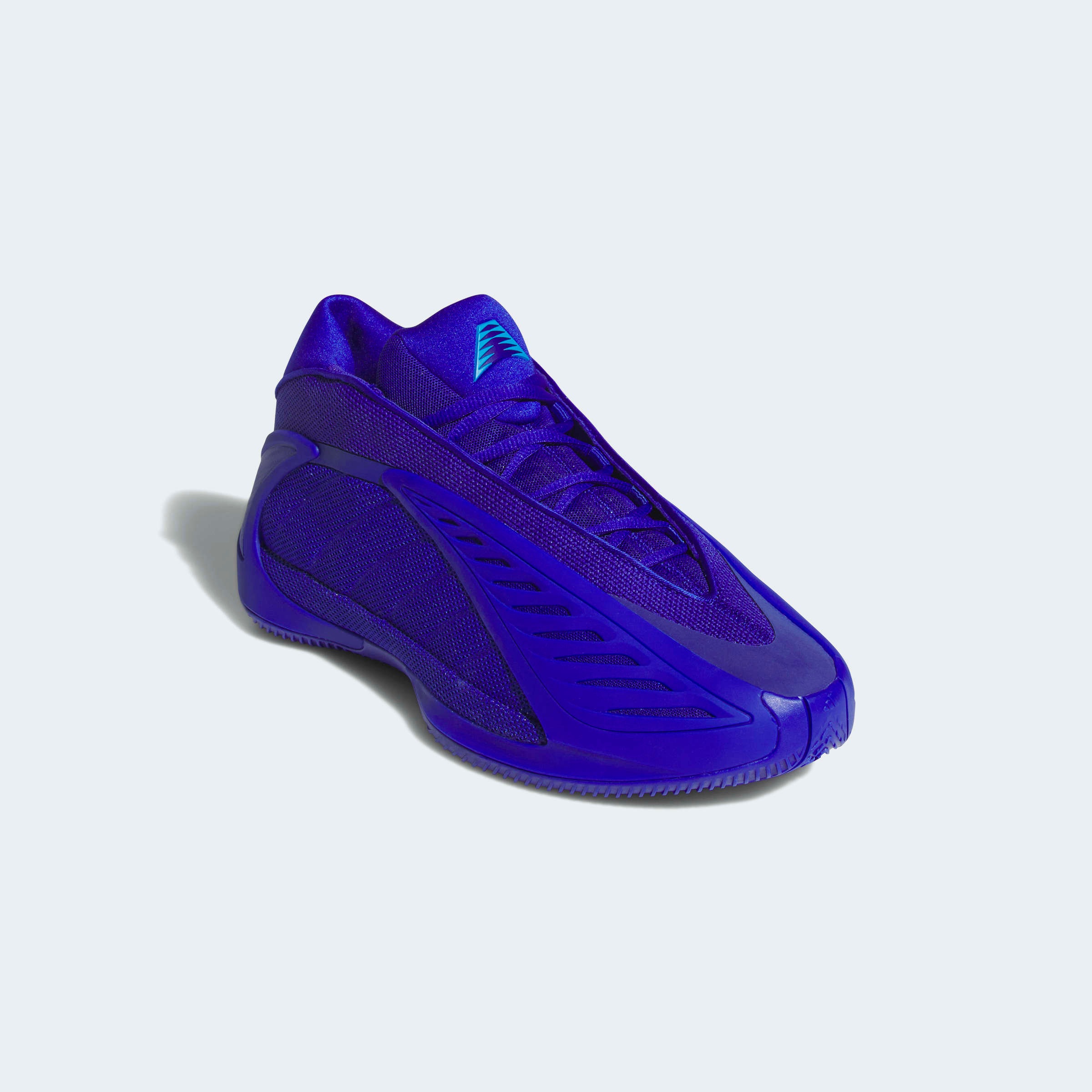 adidas Performance Chaussure de basket »ANTHONY EDWARDS 2«