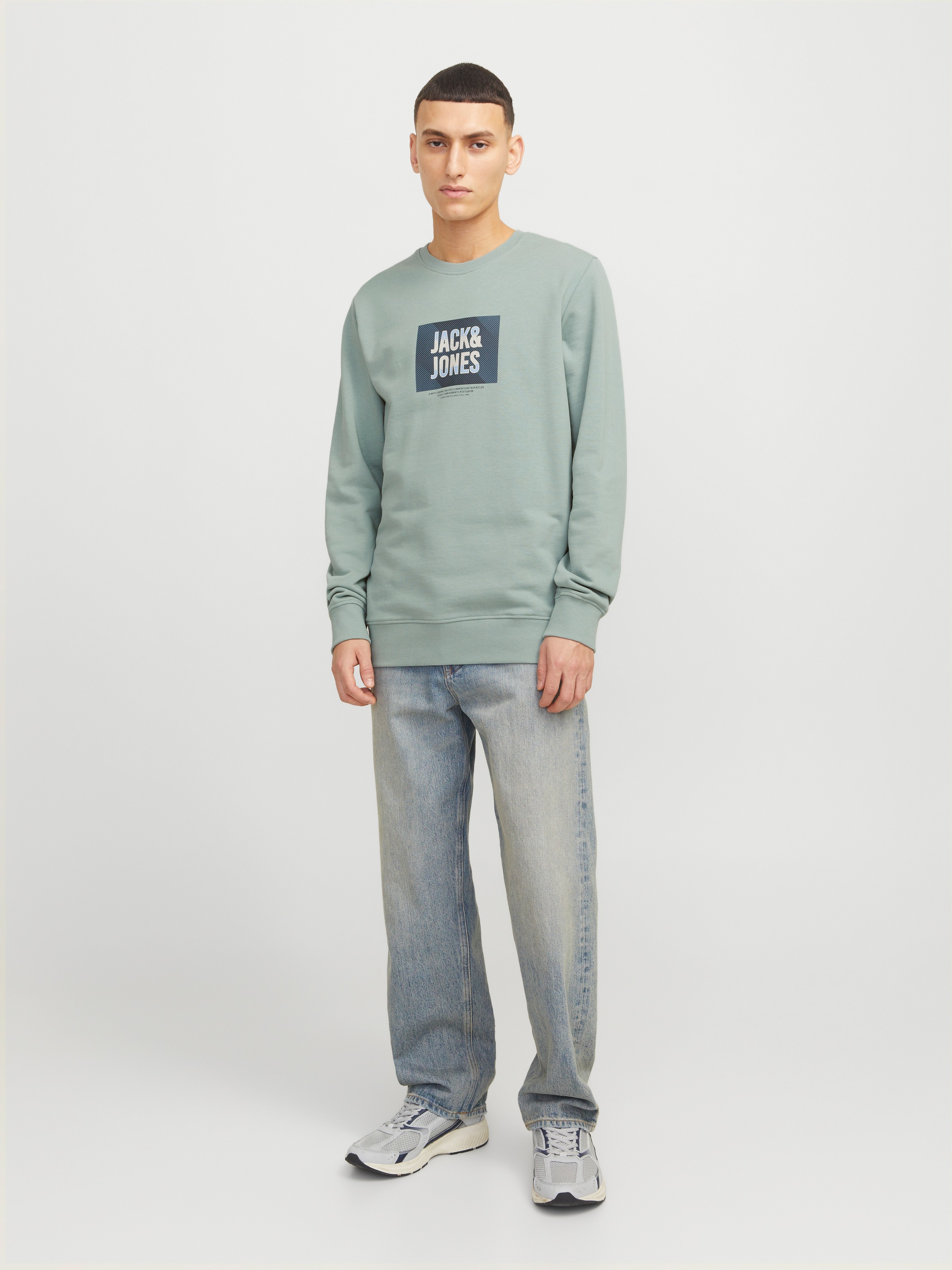 Jack & Jones Sweatshirt »JJHUDSON – Sweatshirt mit Print, Rundhals und Kapuze«, Print, modisch, regular fit, angeraute Sweatware, Rundhals