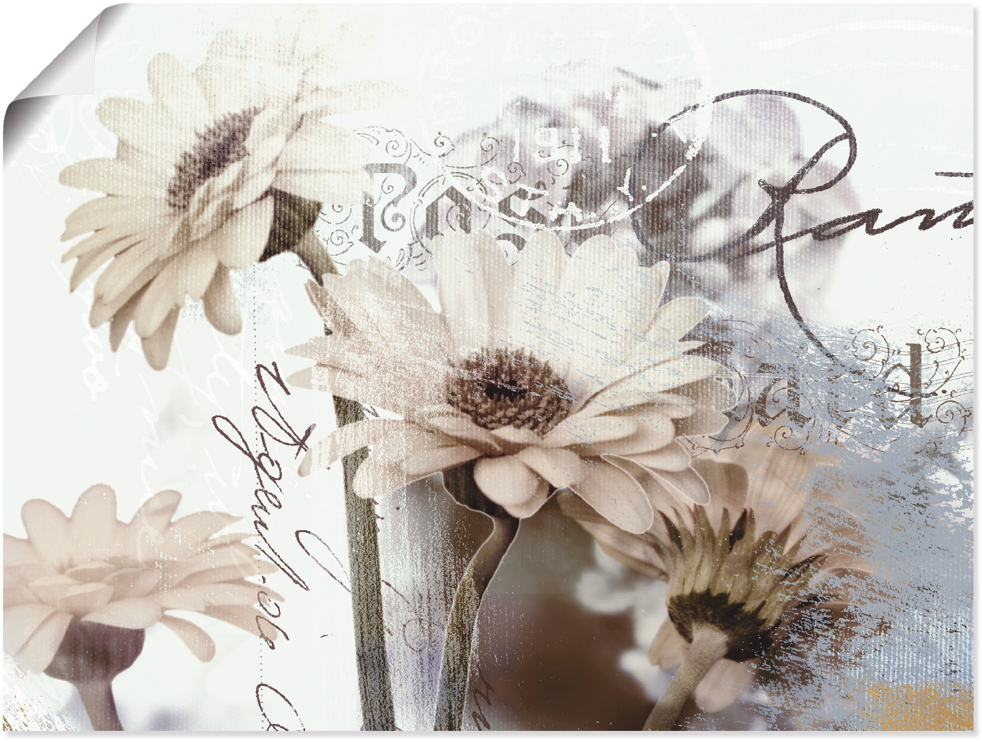 Artland Wandbild »Gerberas_Detail«, St.), kaufen oder Blumenbilder, Poster in Grössen online | (1 als Leinwandbild, Jelmoli-Versand versch. Wandaufkleber