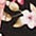 5791 black flower