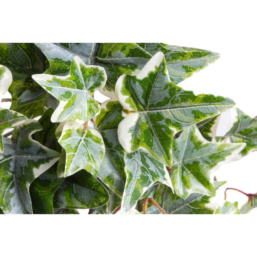 Botanic-Haus Künstliche Zimmerpflanze »Efeu-Hängebusch mit 9 Stielen«