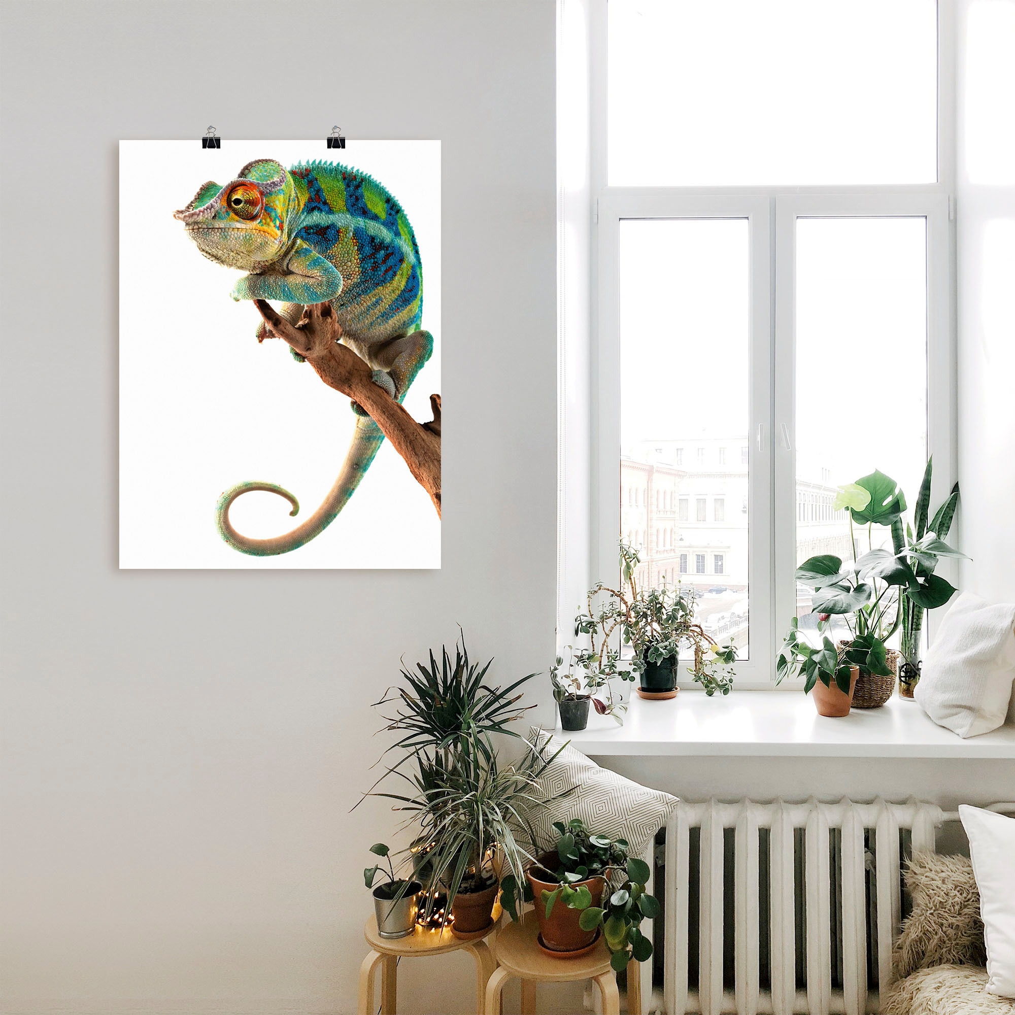 Artland Wandbild »Ambanja Panther Chamäleon«, Reptilien, (1 St.), als Leinwandbild, Poster in verschied. Grössen