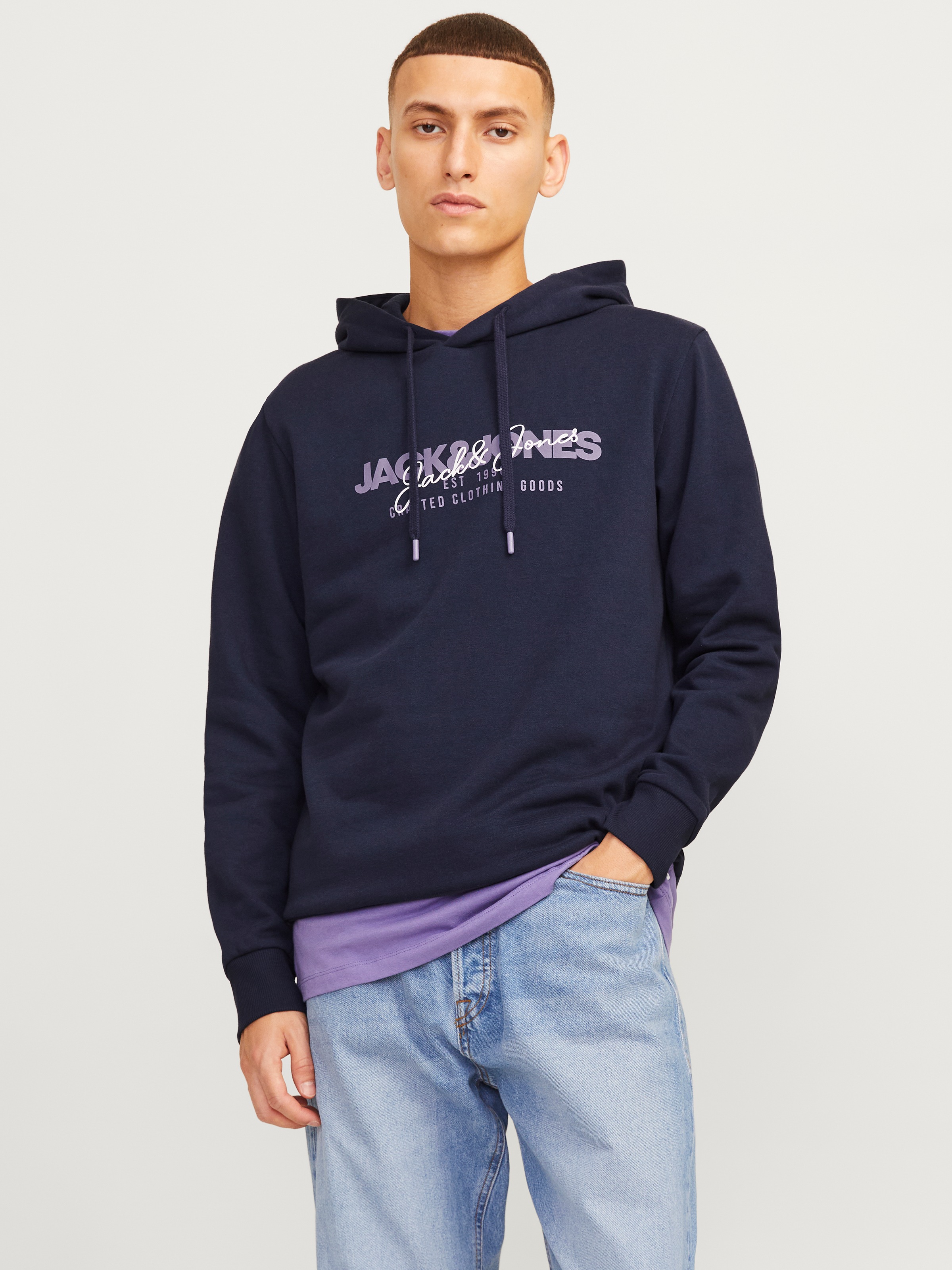 Jack & Jones Kapuzensweatshirt »JJALVIS SWEAT HOOD«