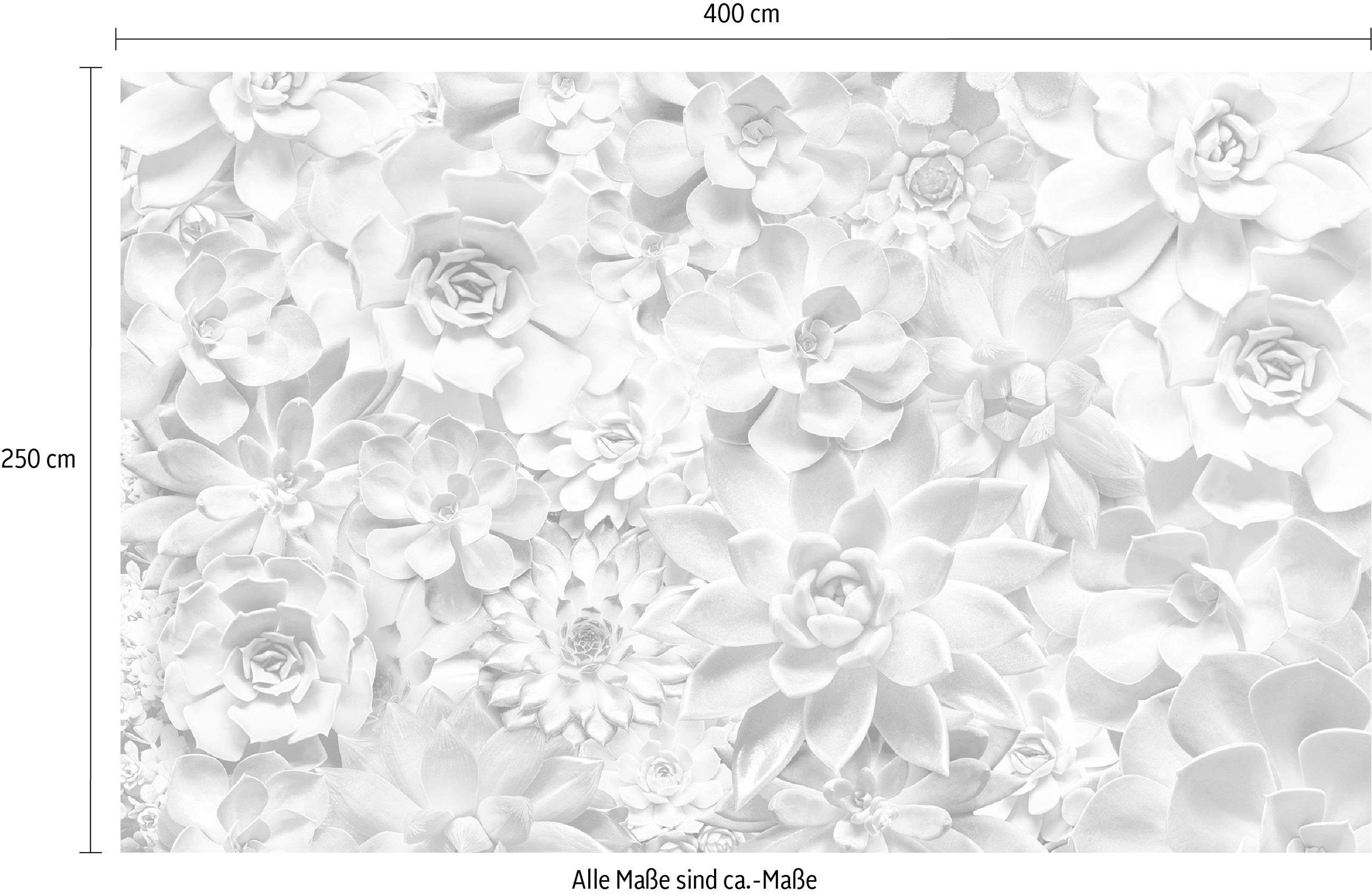 Komar Vliestapete »Digitaldruck Vlies - Shades Black and White - Grösse 400 x 250 cm«, bedruckt, Wohnzimmer, Schlafzimmer