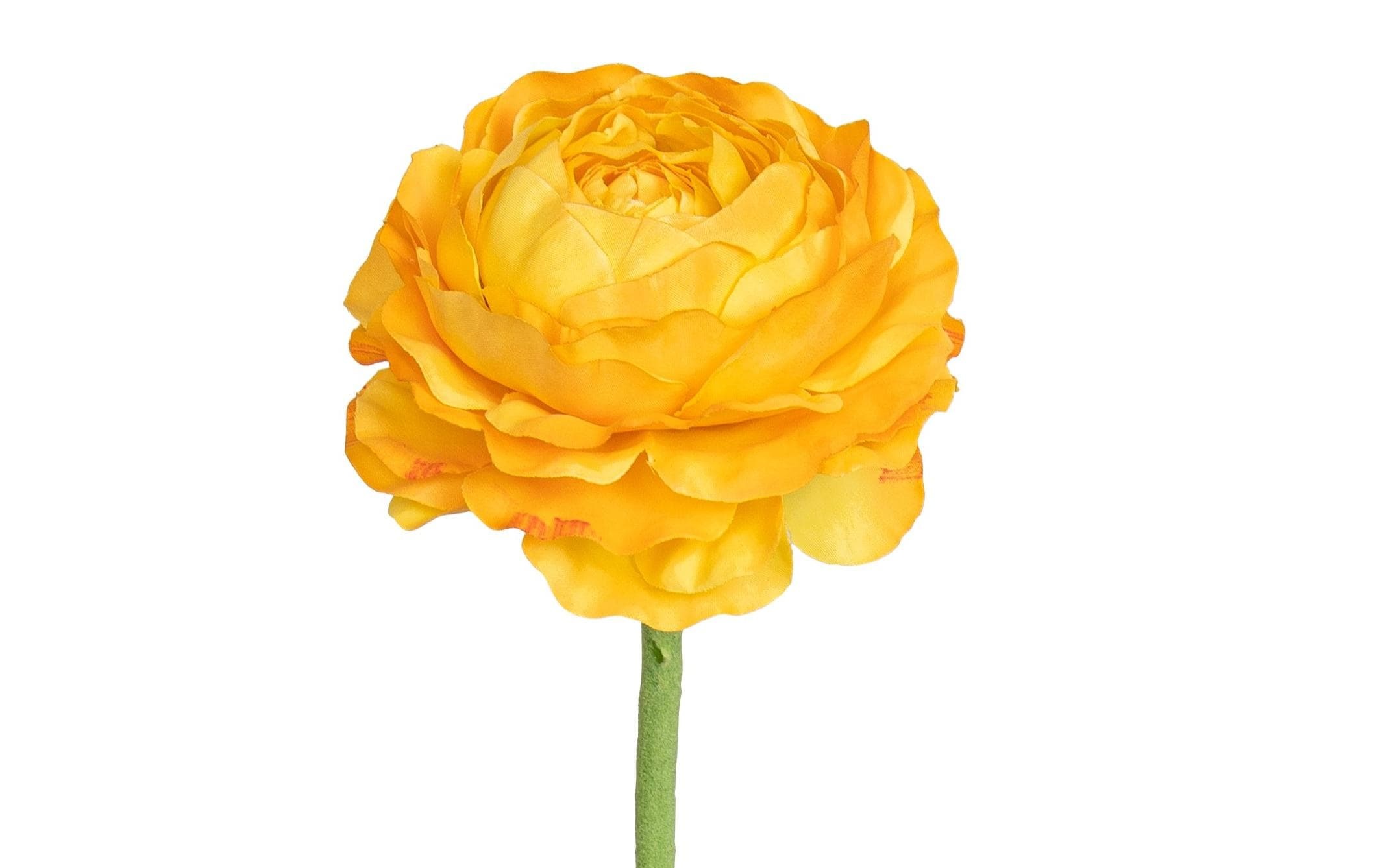 Botanic-Haus Kunstblume »Ranunkel 50 cm«