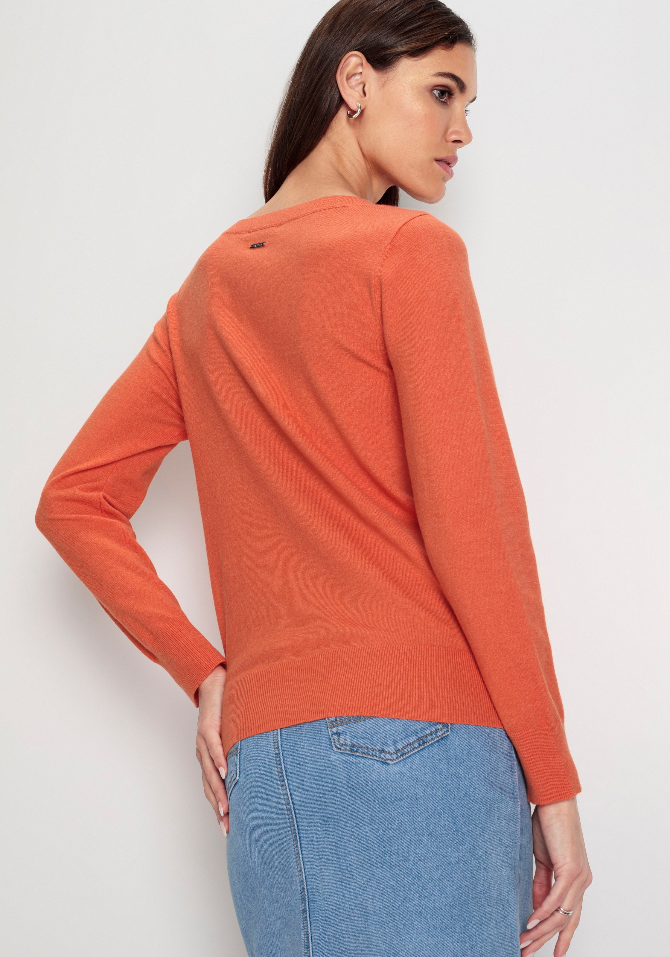 HECHTER PARIS V-Ausschnitt-Pullover, in melange Optik