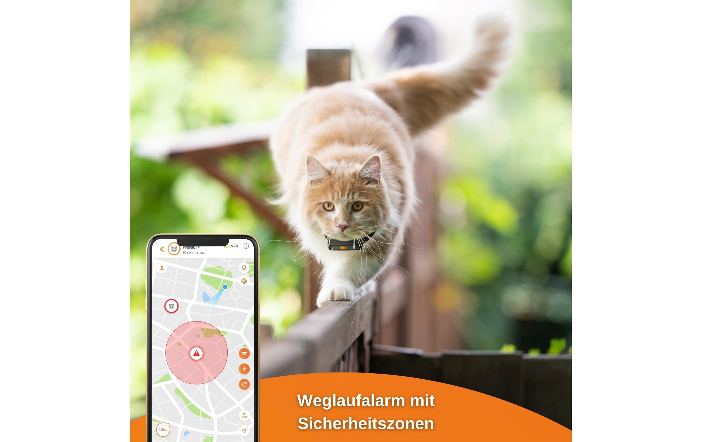 GPS-Tracker »Weenect XS für Katzen Schwarz«