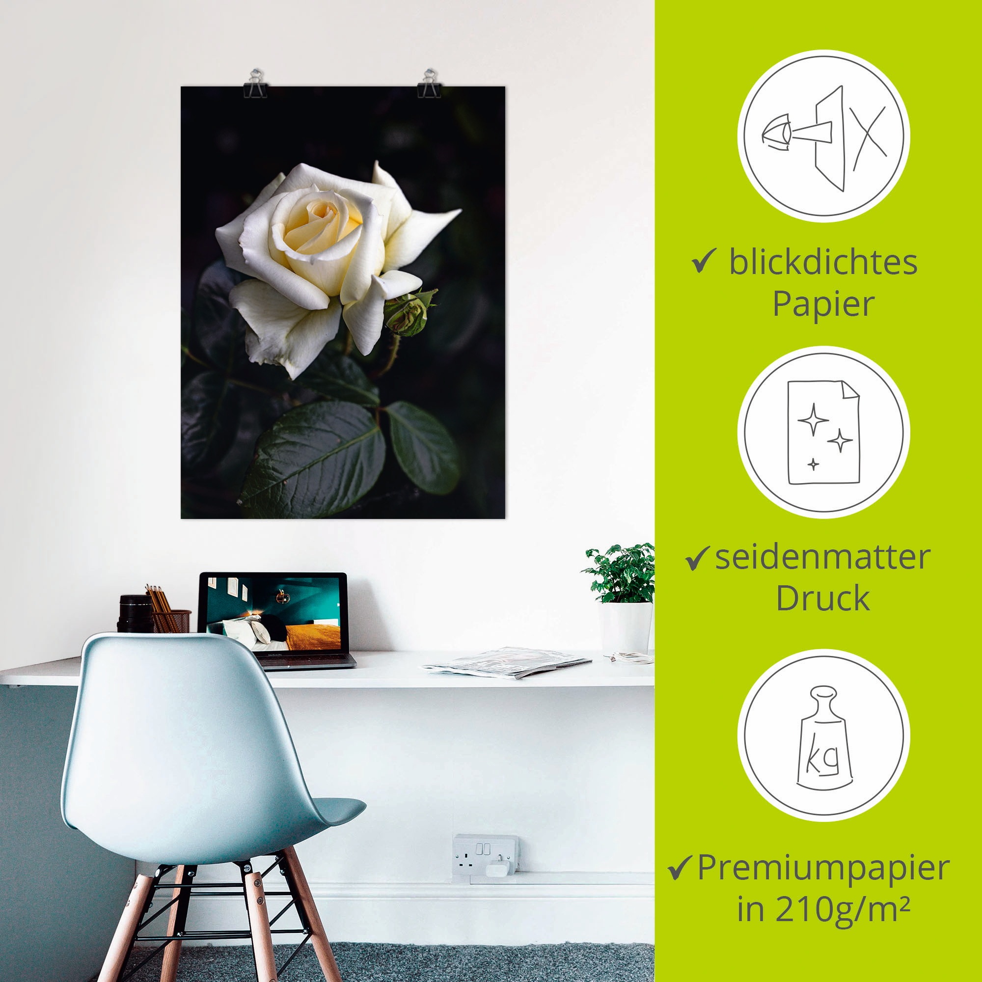 Artland Wandbild »Weiss-gelbe Rose«, Blumen, (1 St.), als Leinwandbild, Poster in verschied. Grössen