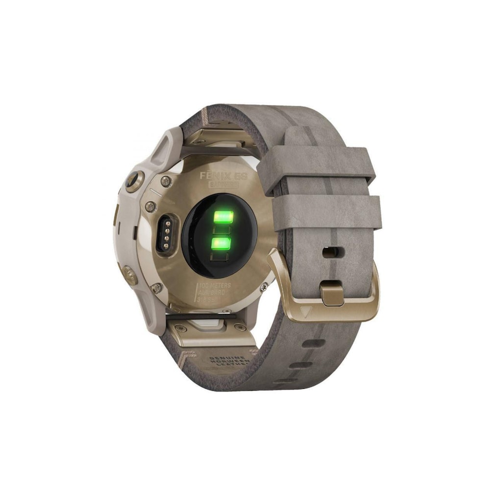 Garmin Smartwatch »Fenix 6S Sapphire Silberfarben/Grau/Goldfarben«
