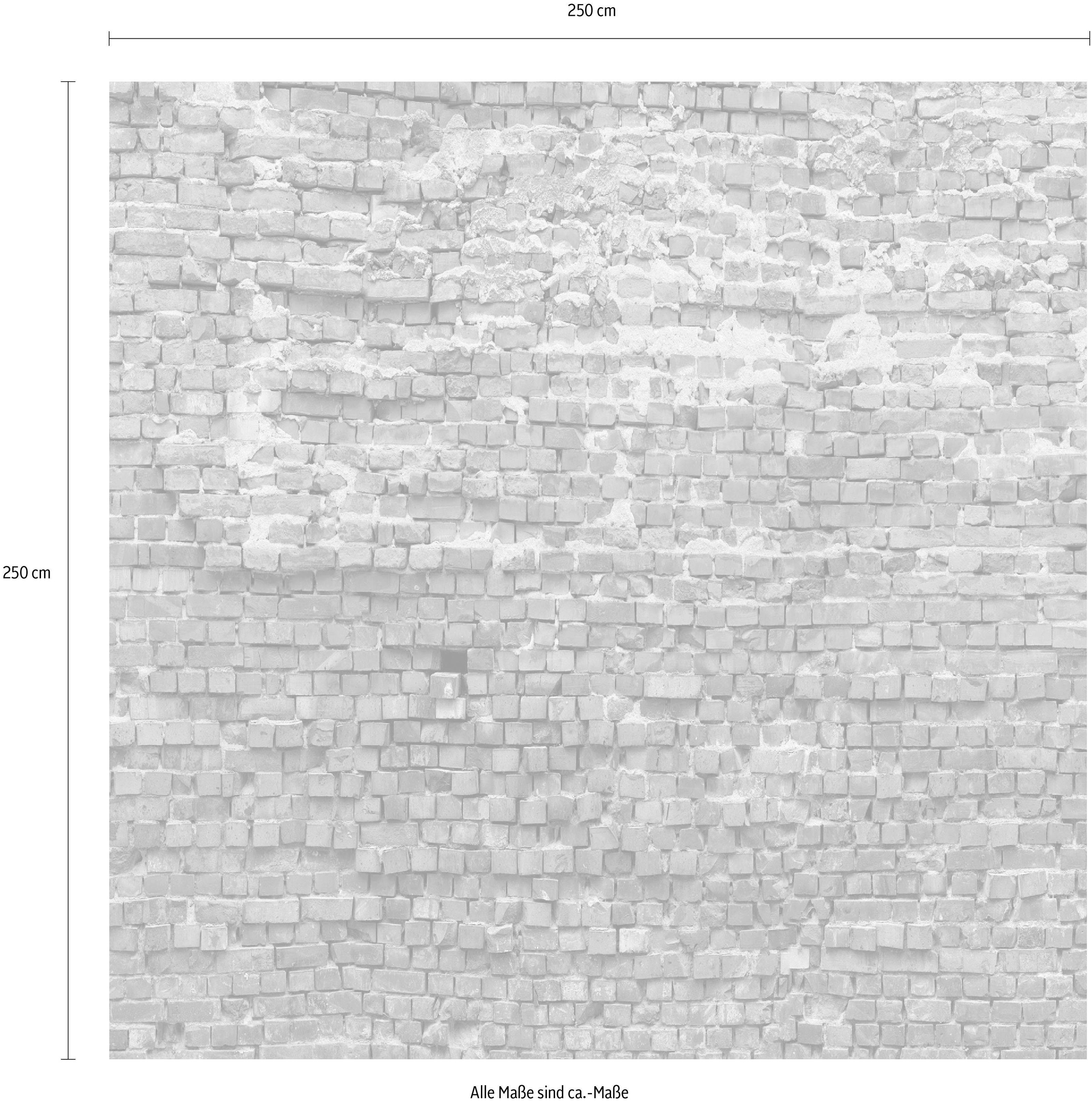 Komar Vliestapete »Digitaldruck Vlies - Bricklane - Grösse 250 x 250 cm«, bedruckt, Wohnzimmer, Schlafzimmer