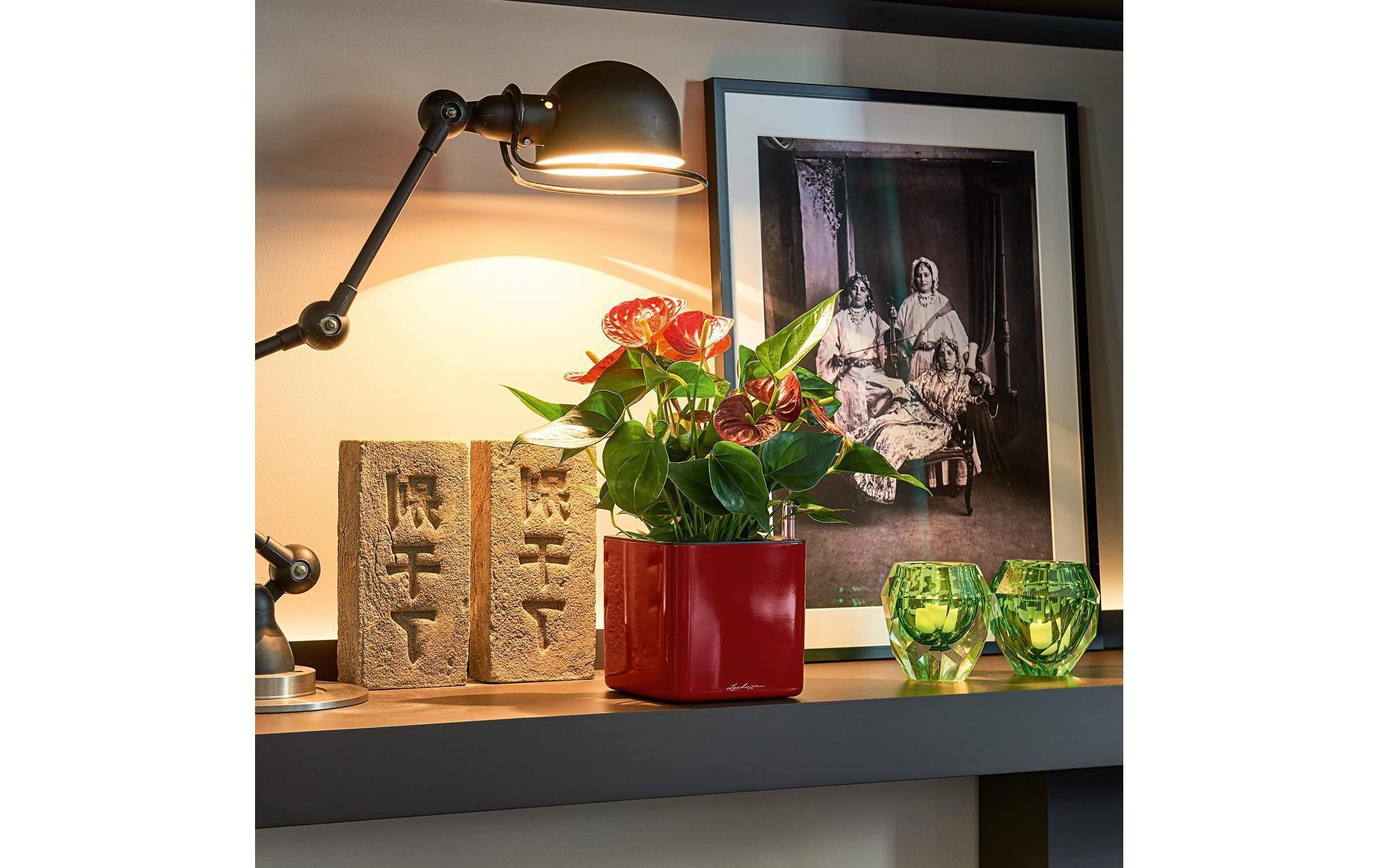 Blumentopf »Lechuza Pflanzentopf CUBE Glossy Ti«, Material: Polycarbonat, Polypropylen