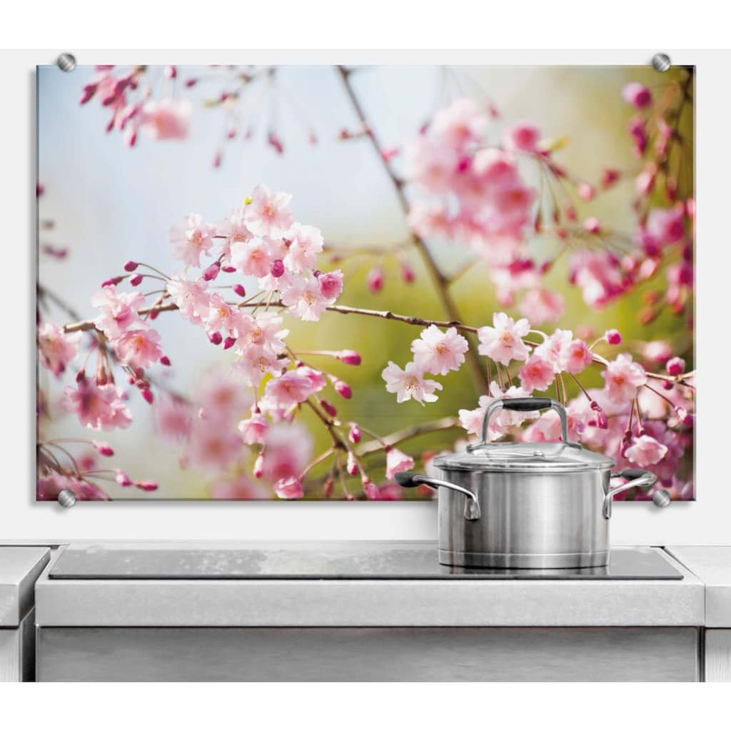 Wall-Art Küchenrückwand »Floral Spritzschutz Kirschblüten«, (1 tlg.)