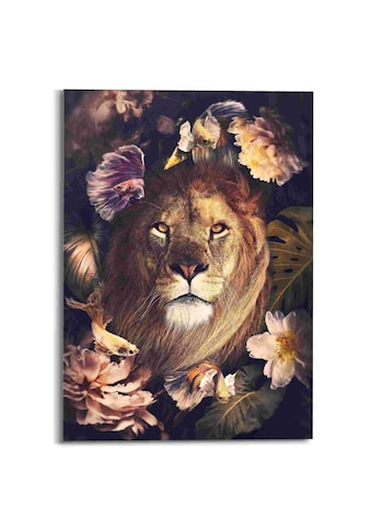 Acrylglasbild »Dschungel-Löwe«