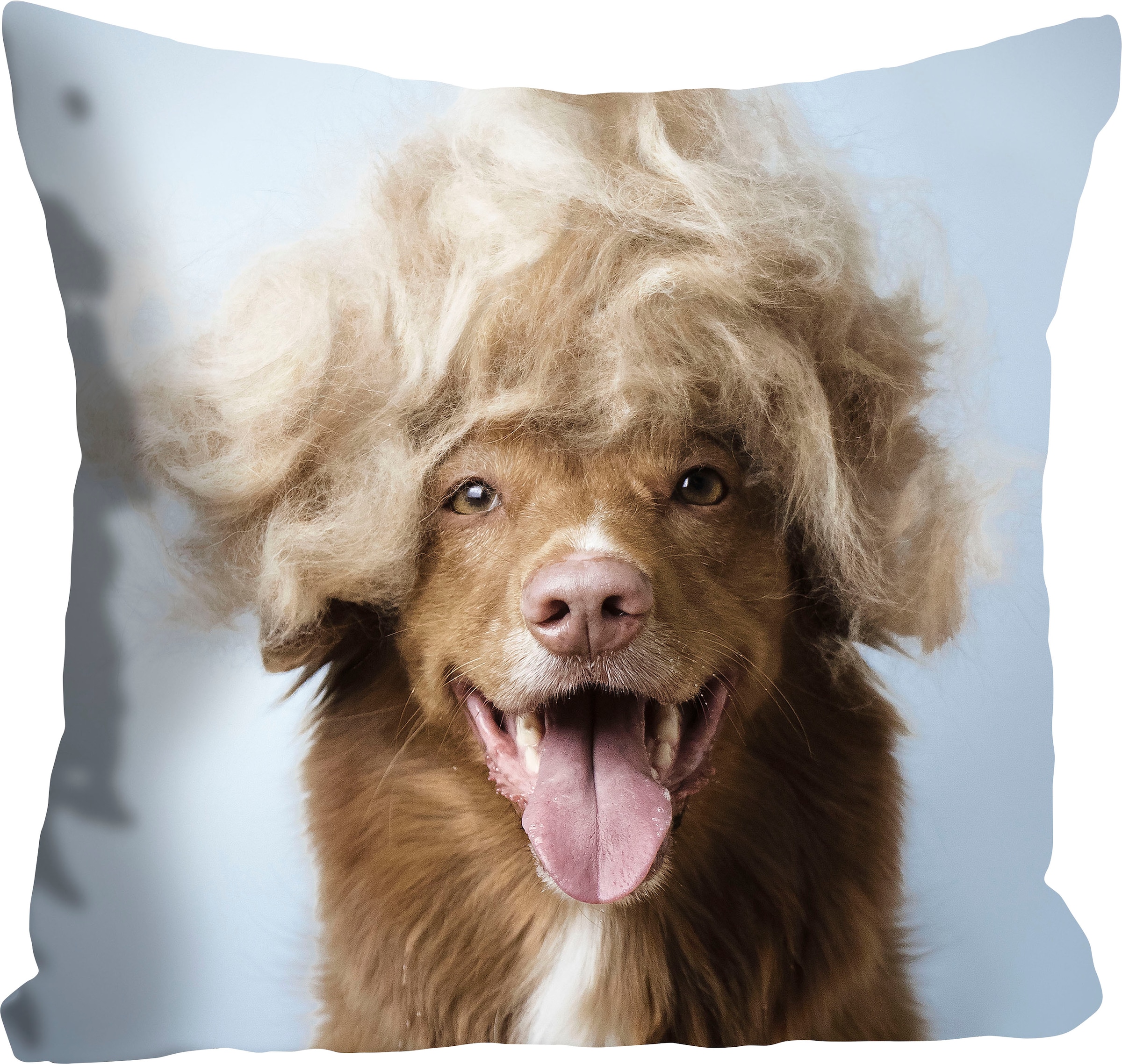 ❤ queence Dekokissen »Perry«, Hund mit einer blonden Perücke, Kissenhülle  ohne Füllung, 1 Stück bestellen im Jelmoli-Online Shop